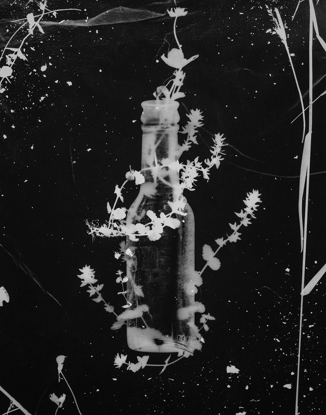 Untitled, 2015