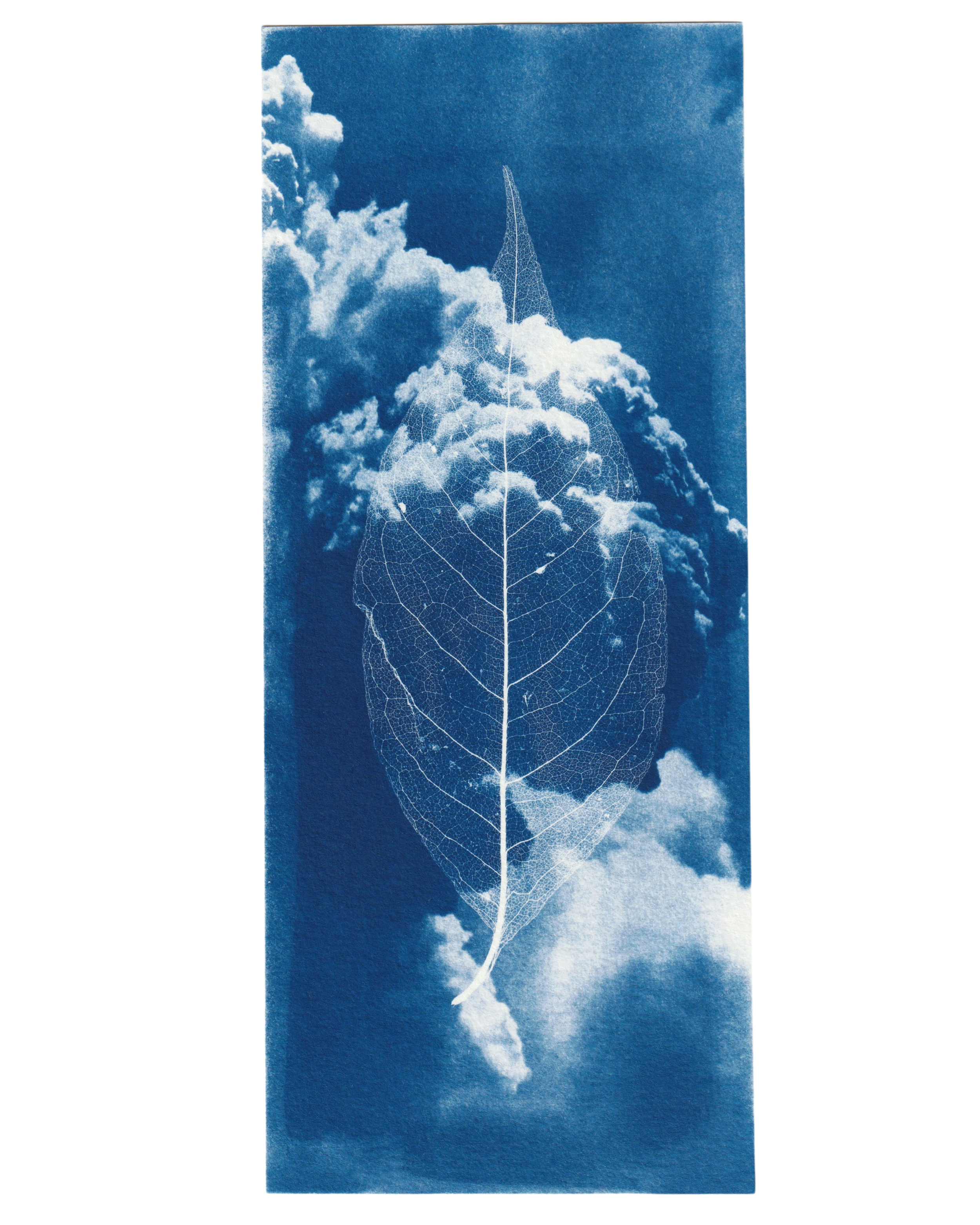 Cloudbusting, 2024