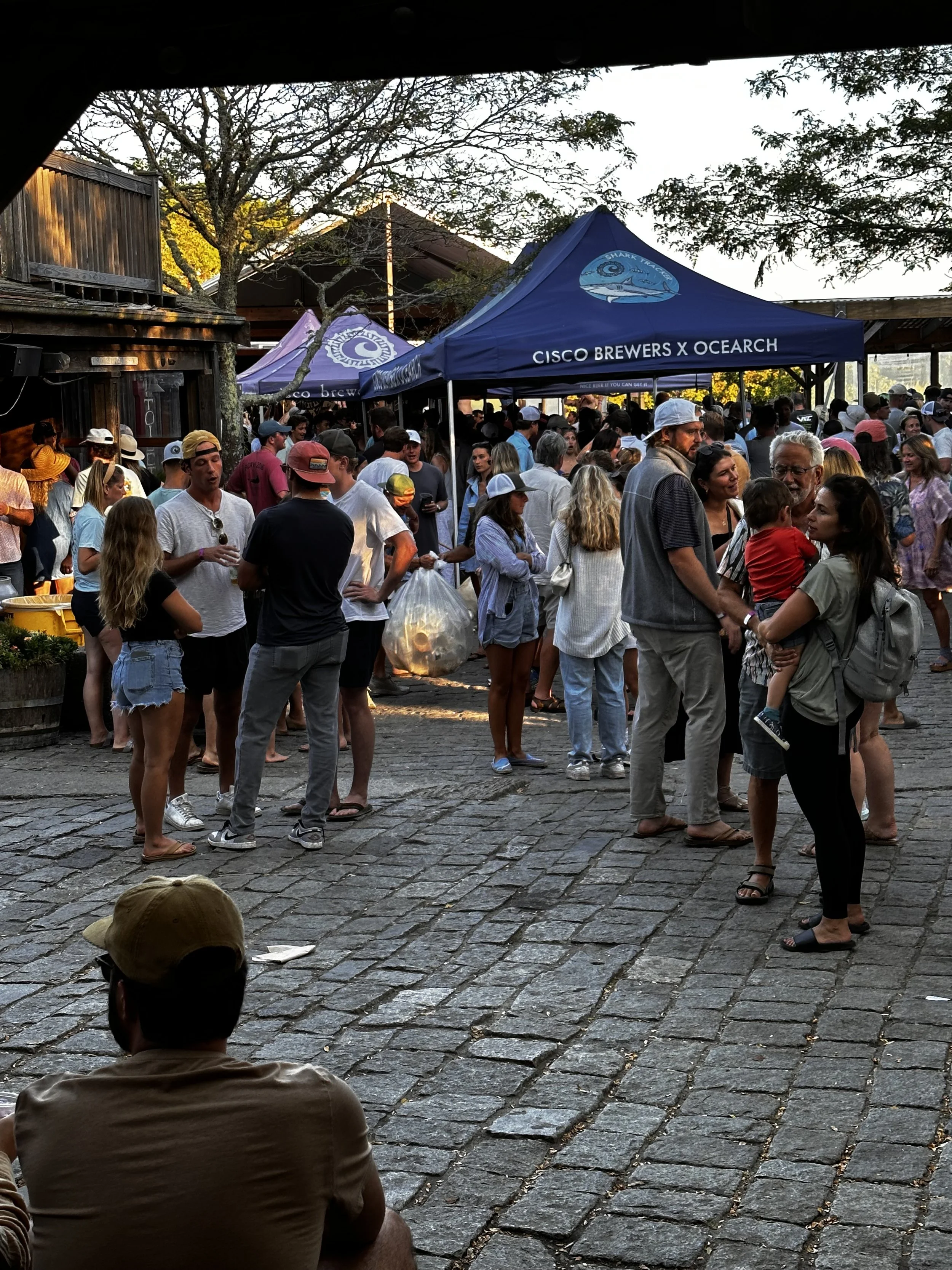 Crowd gathered at an outdoor event with tents, some people are waiting in line, talking, and socializing under the late afternoon sunlight.