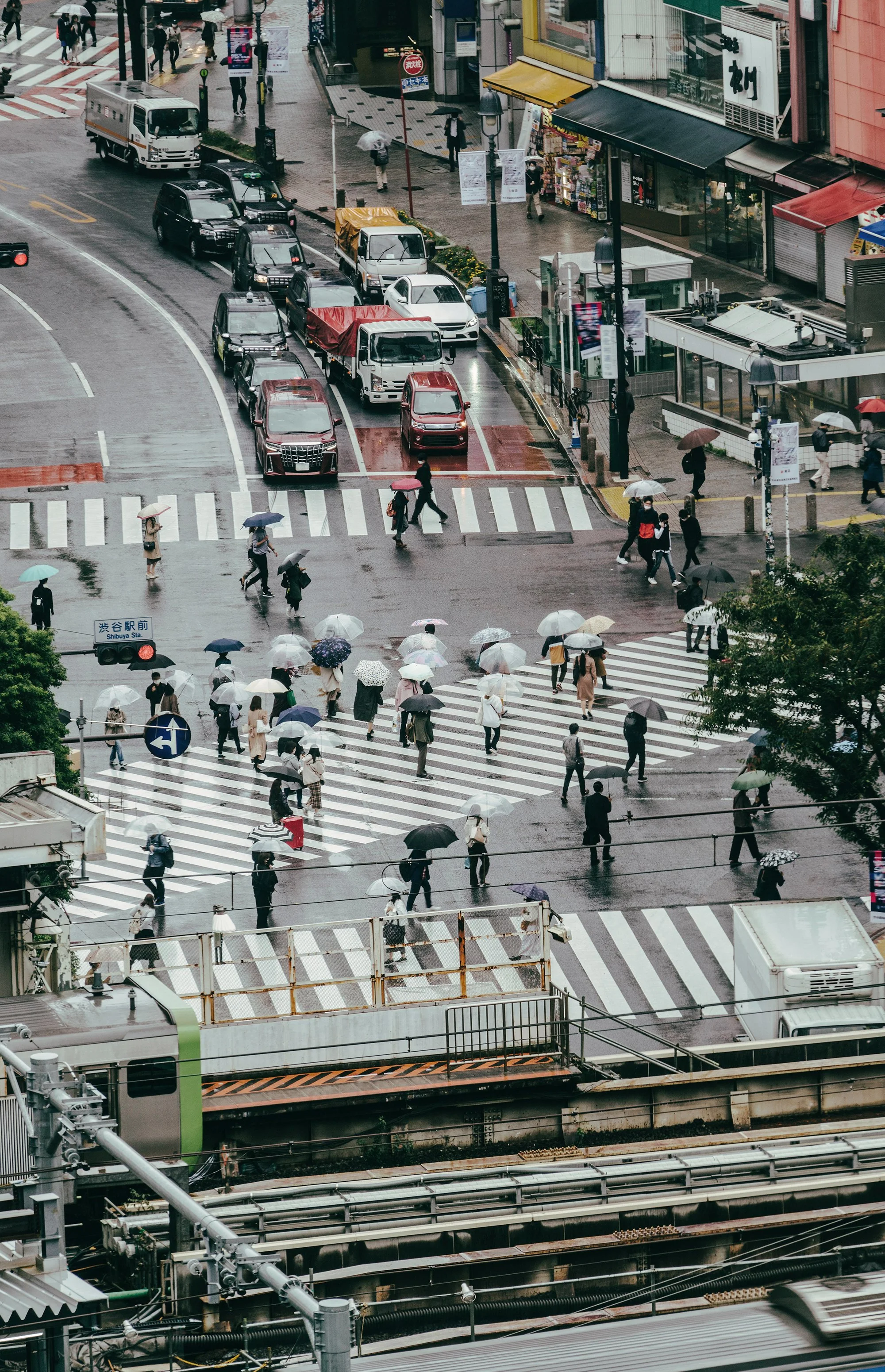 Busy pedestrian crossing in Shibuya, Tokyo, with people walking under umbrellas in the rain.