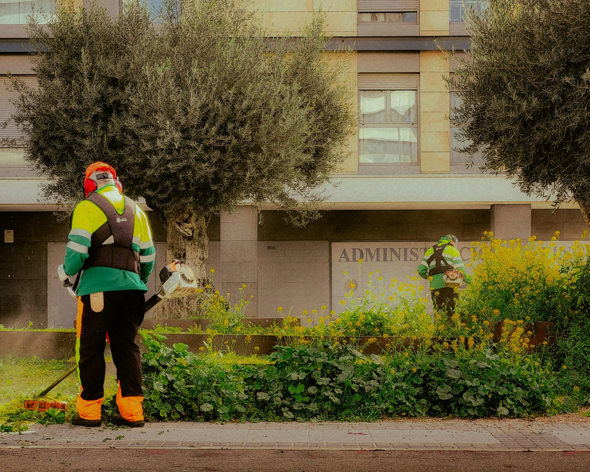 Landscaping Business Plan