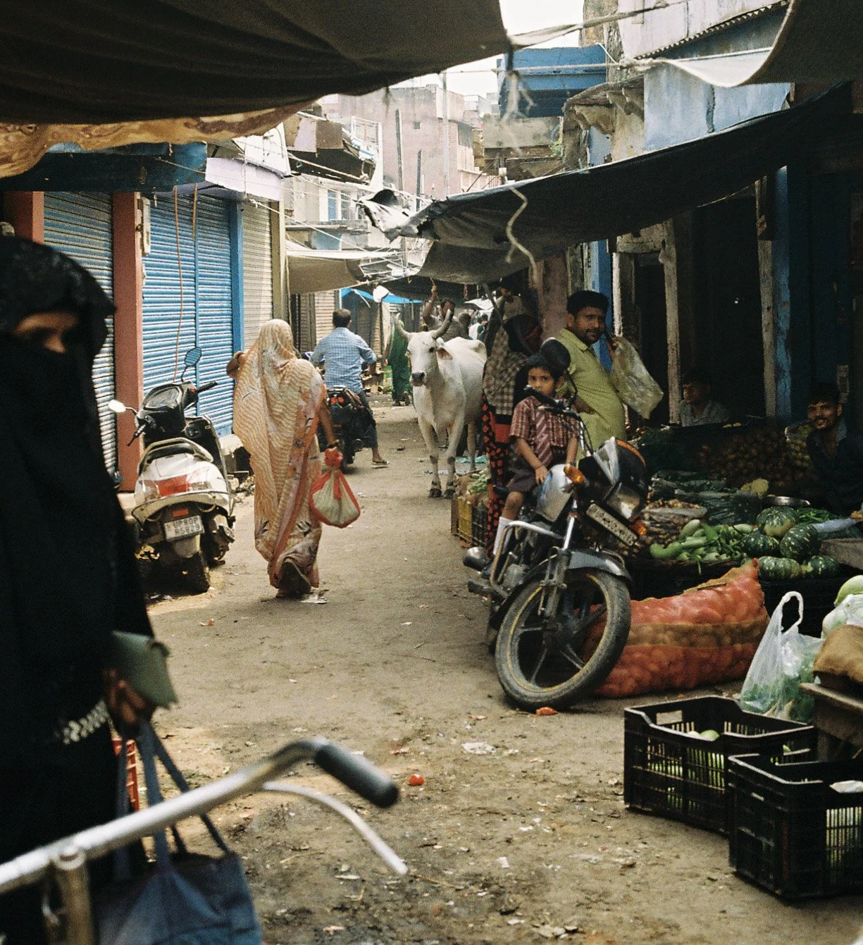 The Vegetable Market