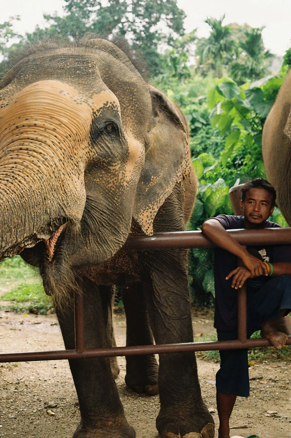 "The Land of Smiles"