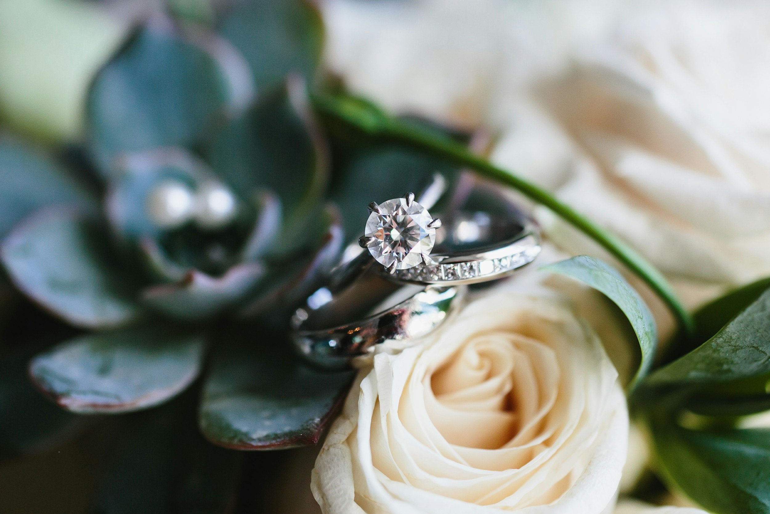 Close-up of a wedding ring set, including a diamond engagement ring and a matching wedding band, placed on a cream-colored rose surrounded by green leaves.