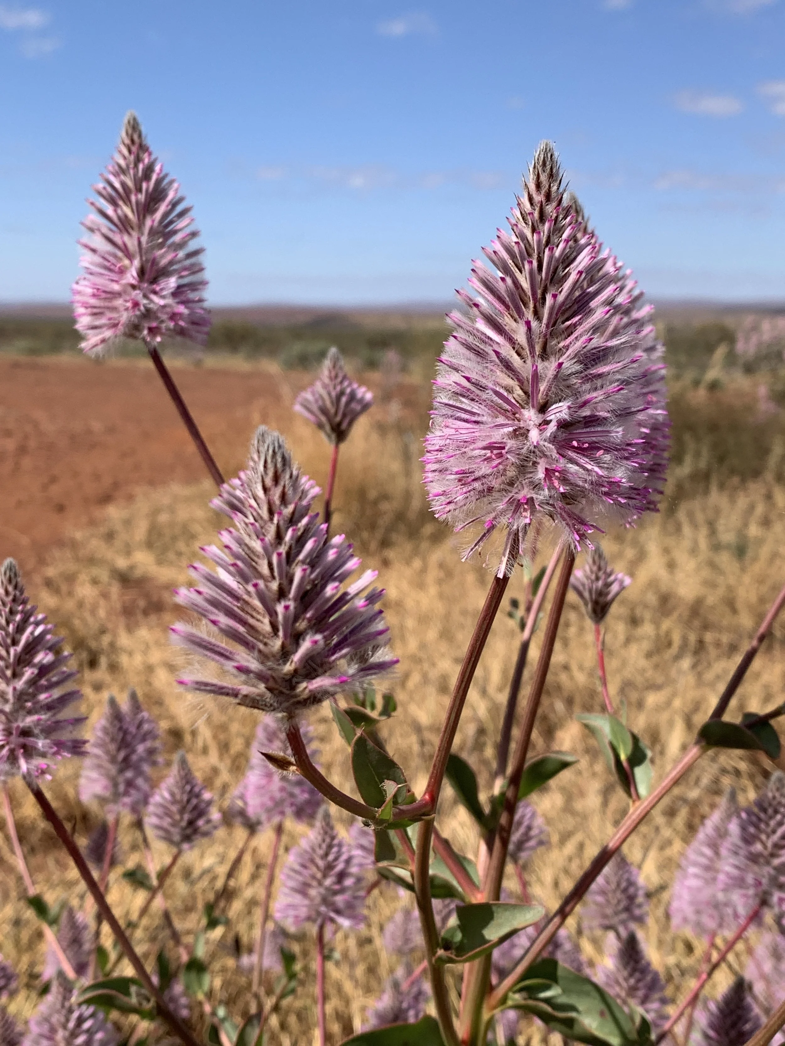 No Dancing - Saturday 18th July