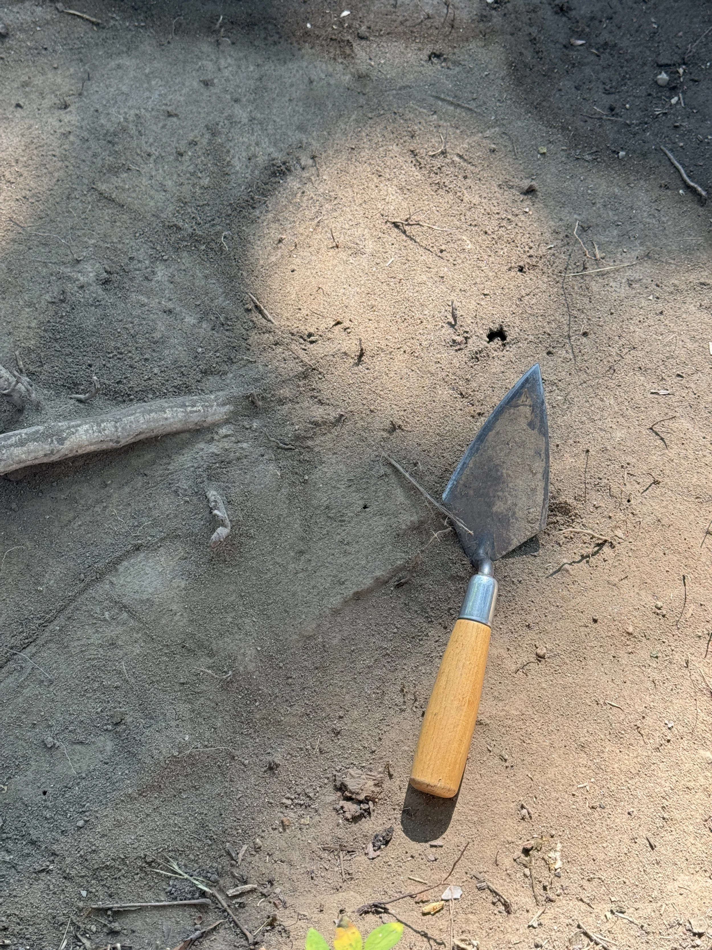 My Experience on an Archaeology Dig