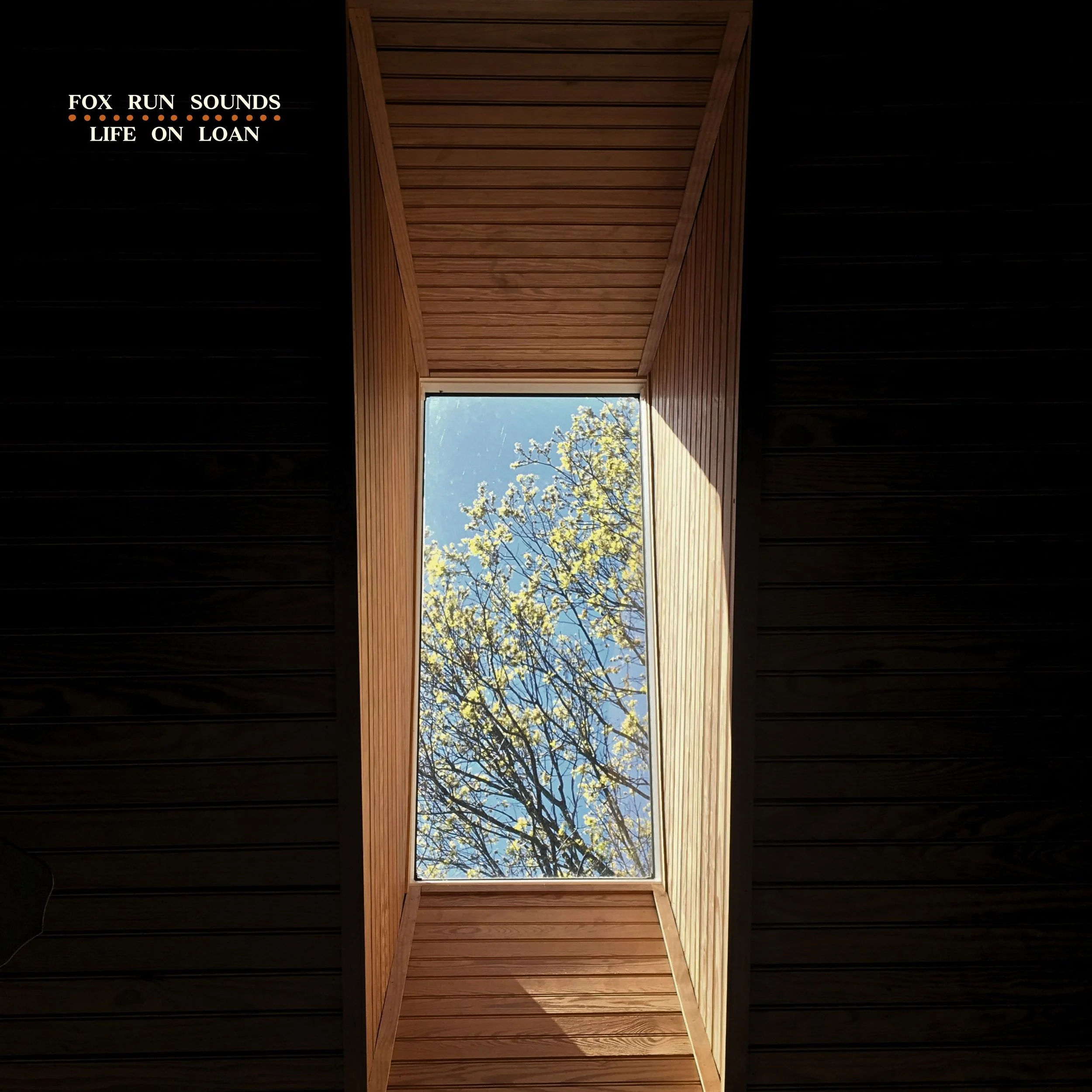 View through a skylight in the ceiling showing a tree with yellow leaves and a blue sky.