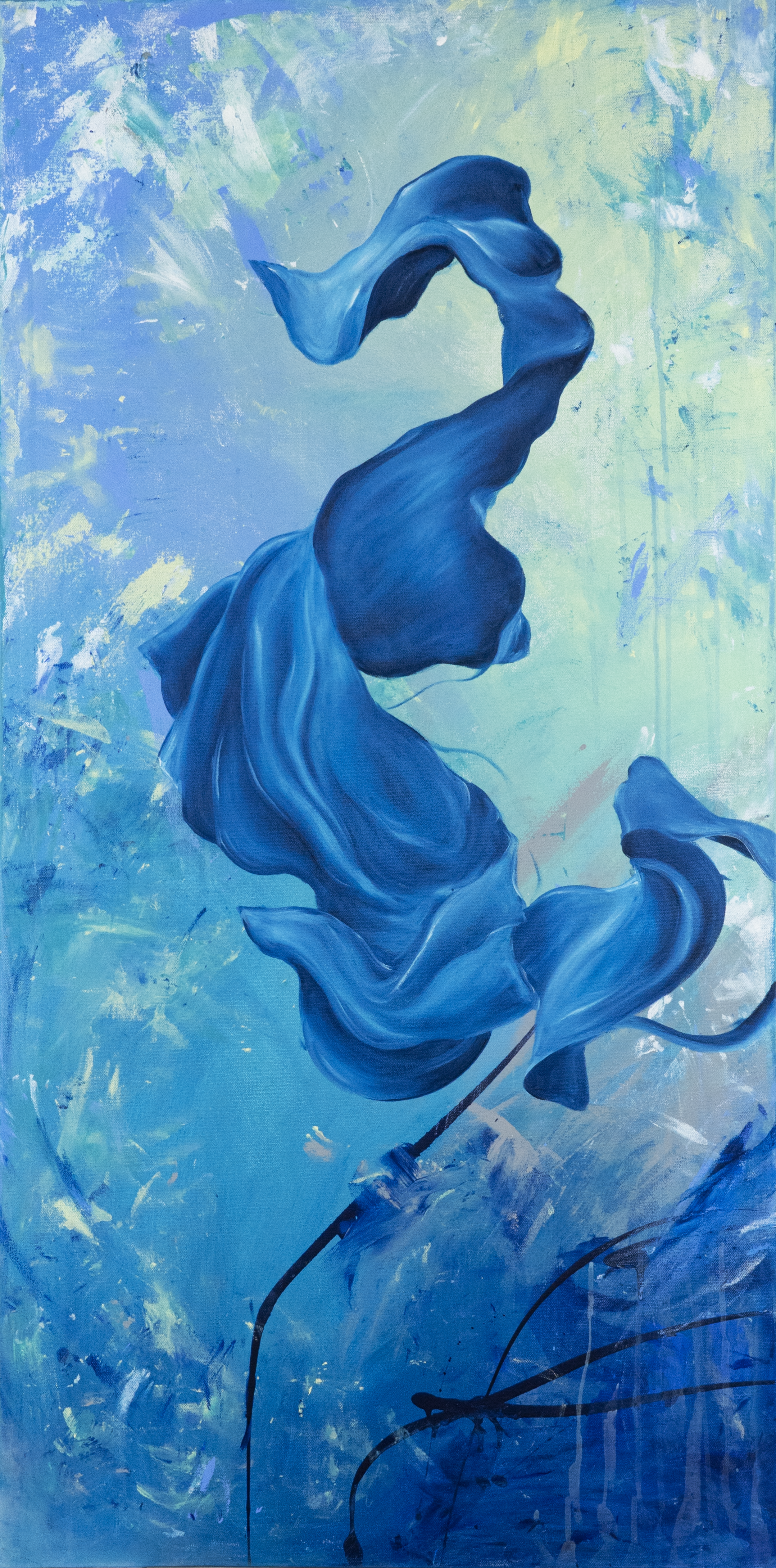 Chapter 2-Shadowed Bodies-2