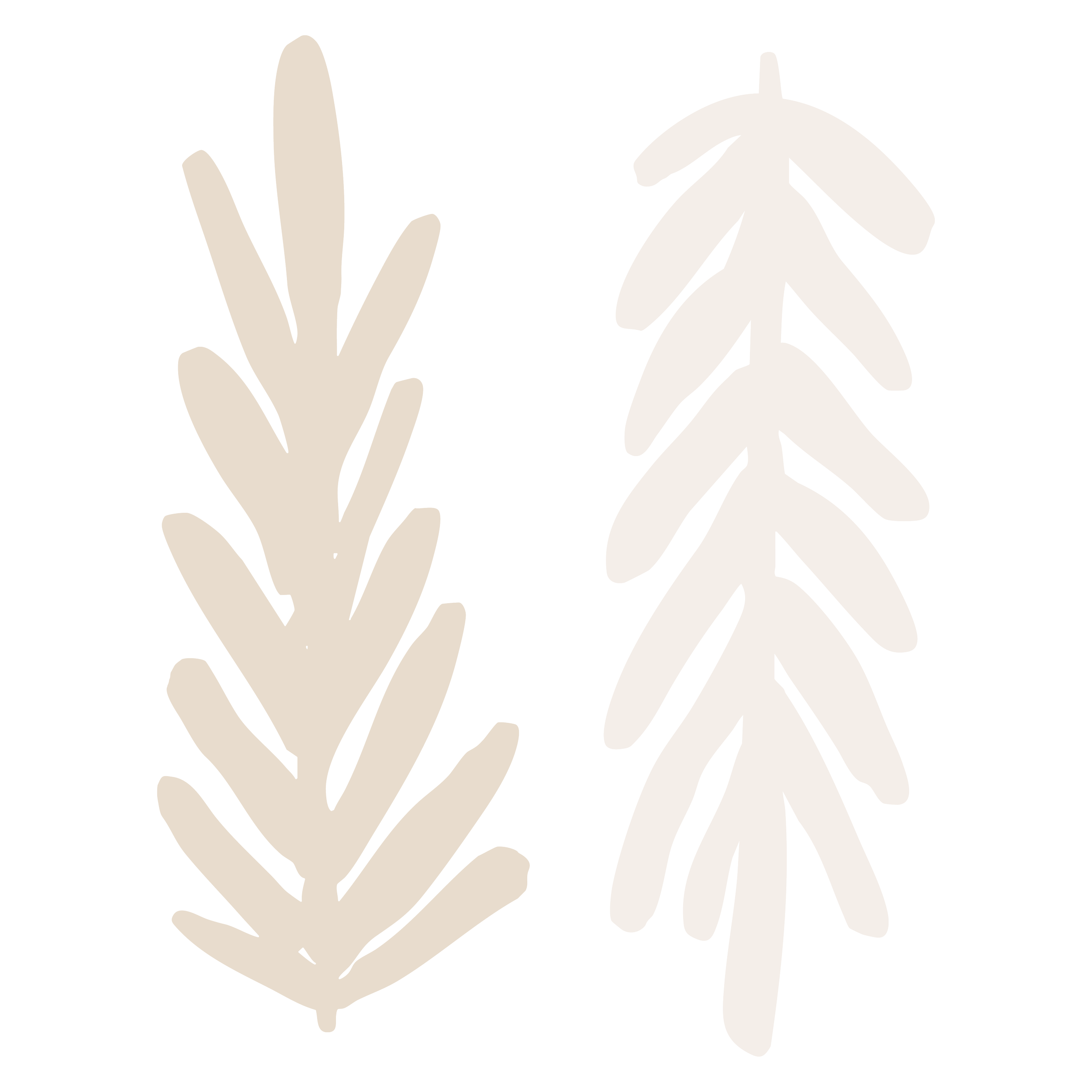 Two minimalist drawn leaves.