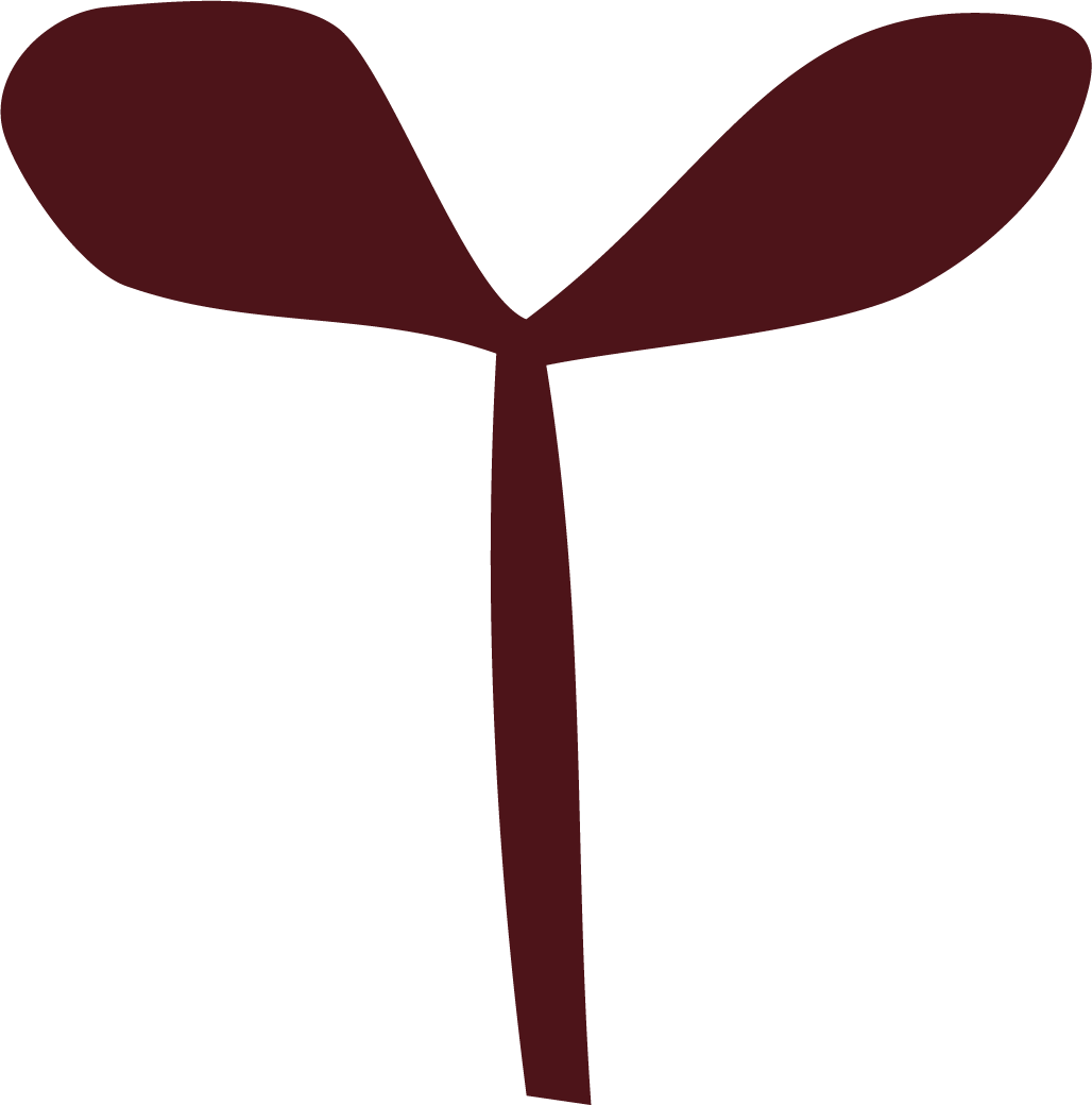 Simplified graphic of a sprout with two petals attached to a stem.