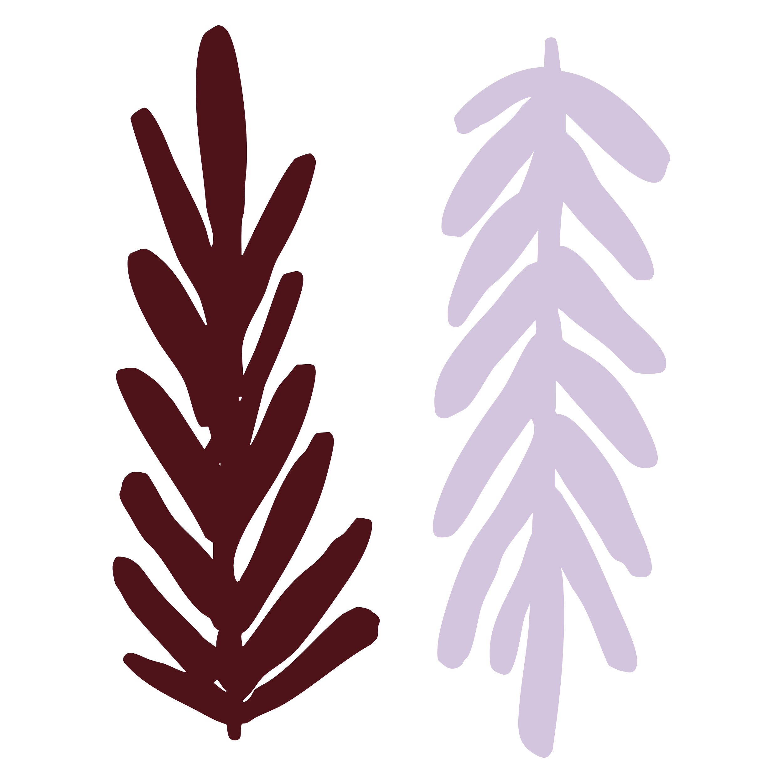 Illustration of two pine branches, one dark red on the left and one light purple on the right, against a black background.
