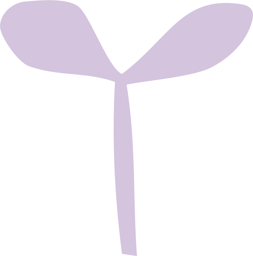 Illustration of a sprouting seed with two purple leaves.