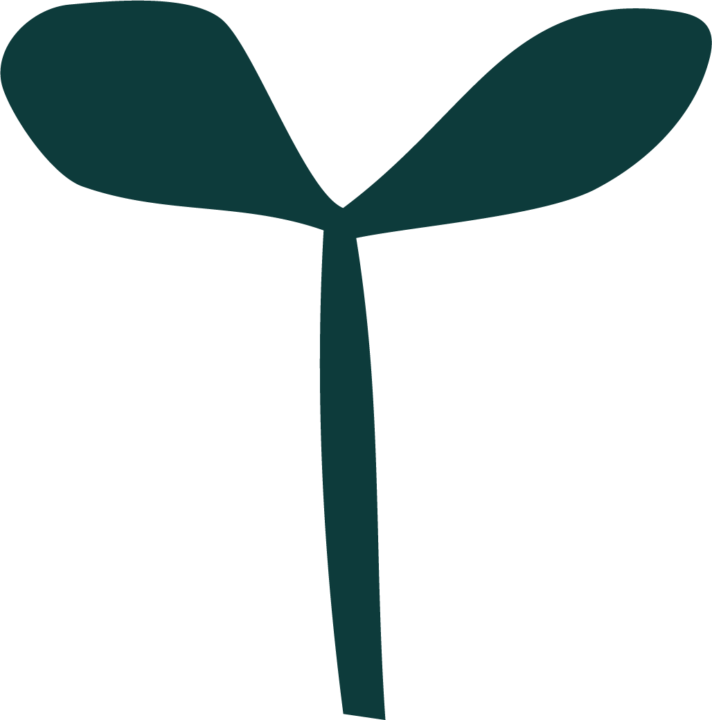 A minimalist illustration of a sprout with two leaves emerging from a single stem.