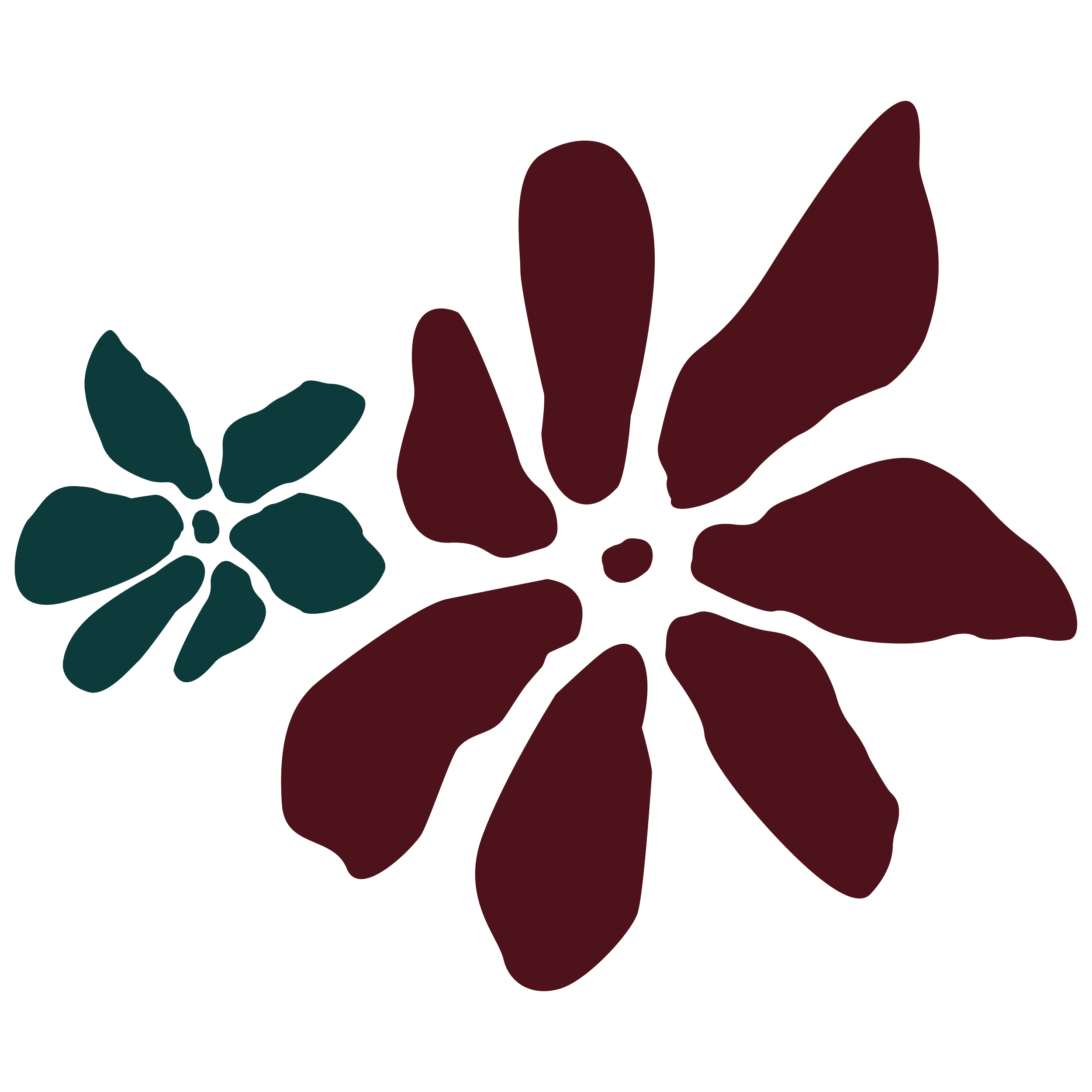 Outline illustration of a large dark red flower and a smaller dark teal flower, both with seven petals, on a transparent background.