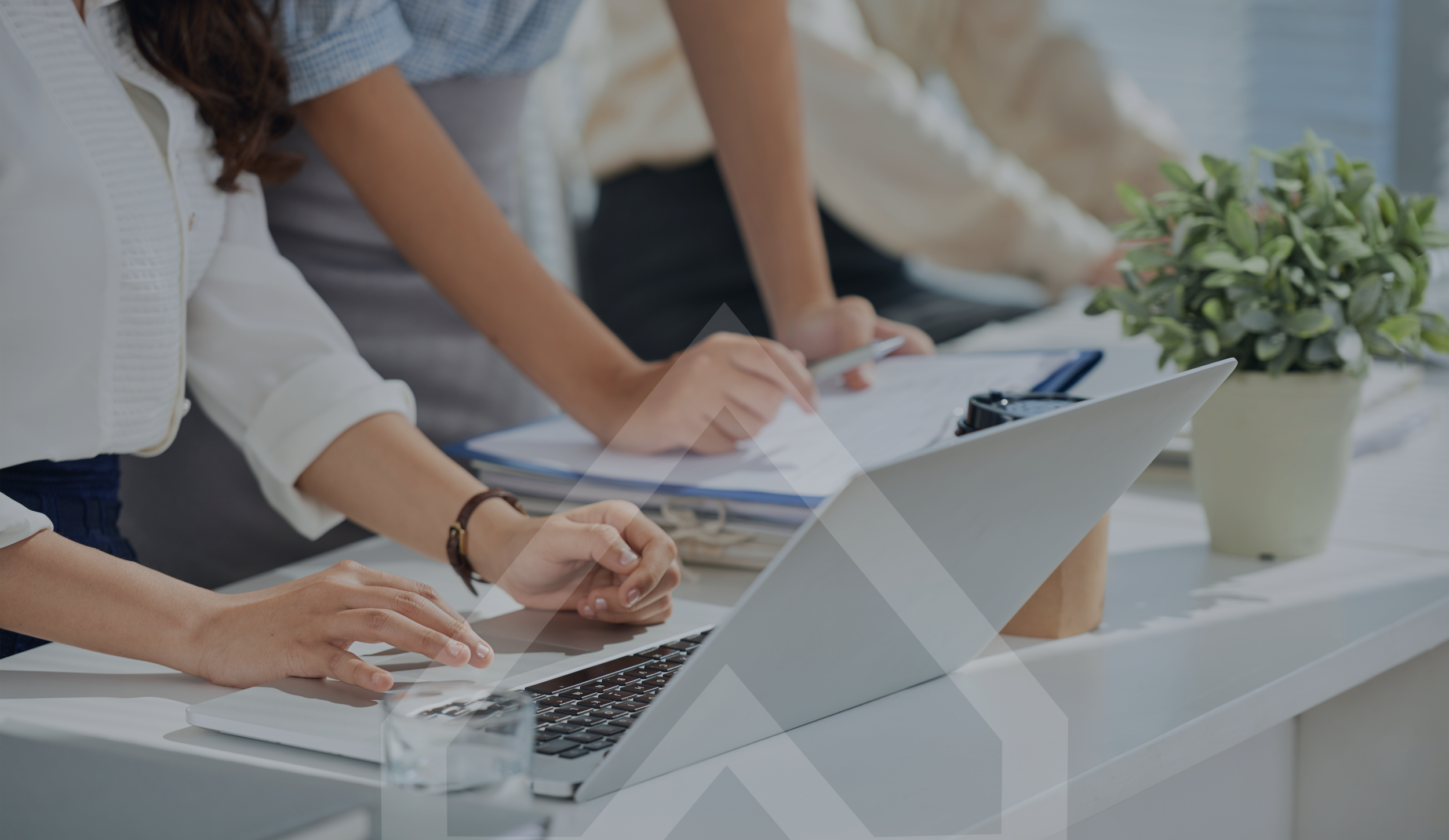 People working together at a desk with laptops, documents, a smartphone, and a potted plant in a bright office.