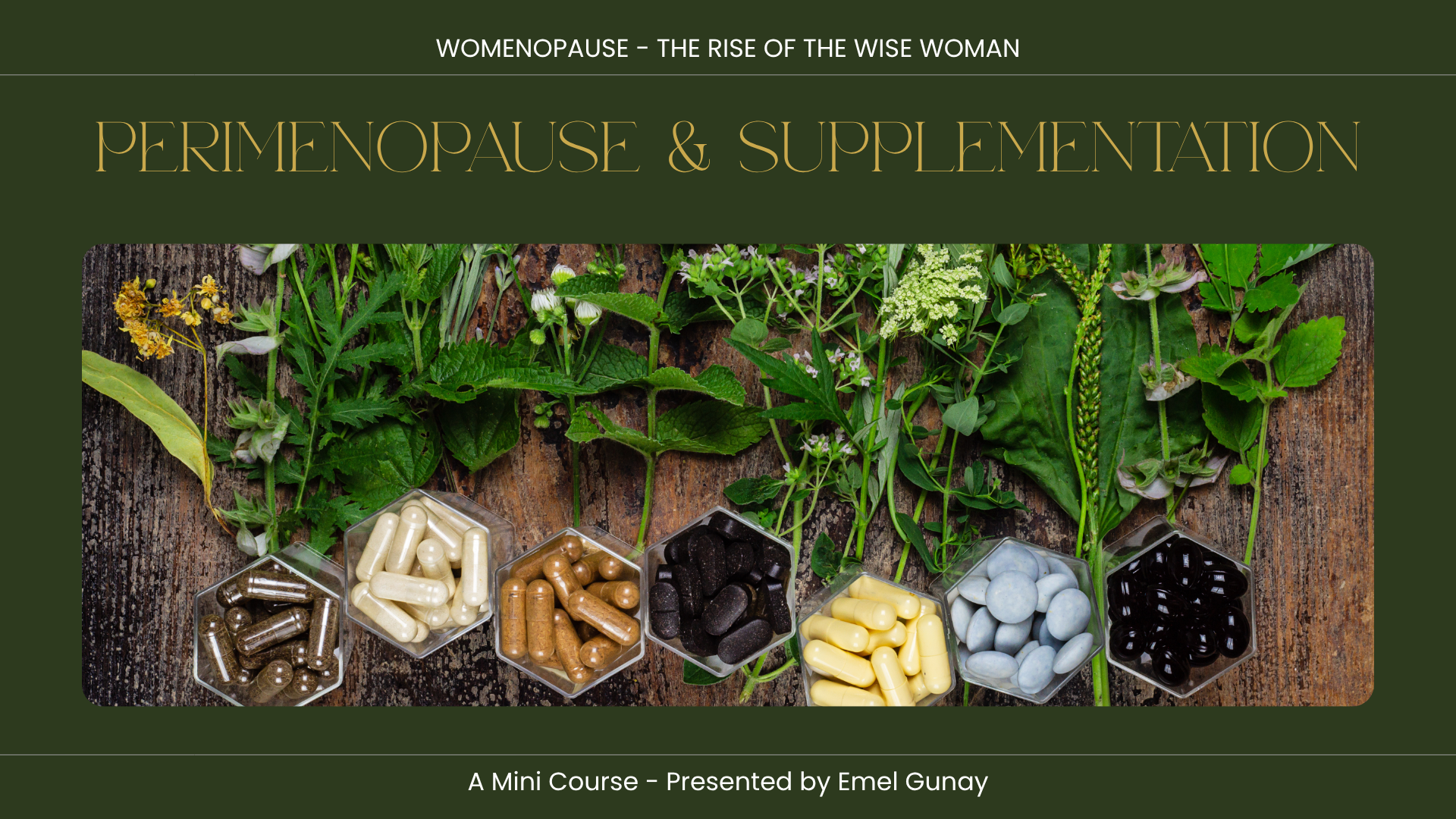 Mini-Course #3 - Perimenopause & Supplementation.png