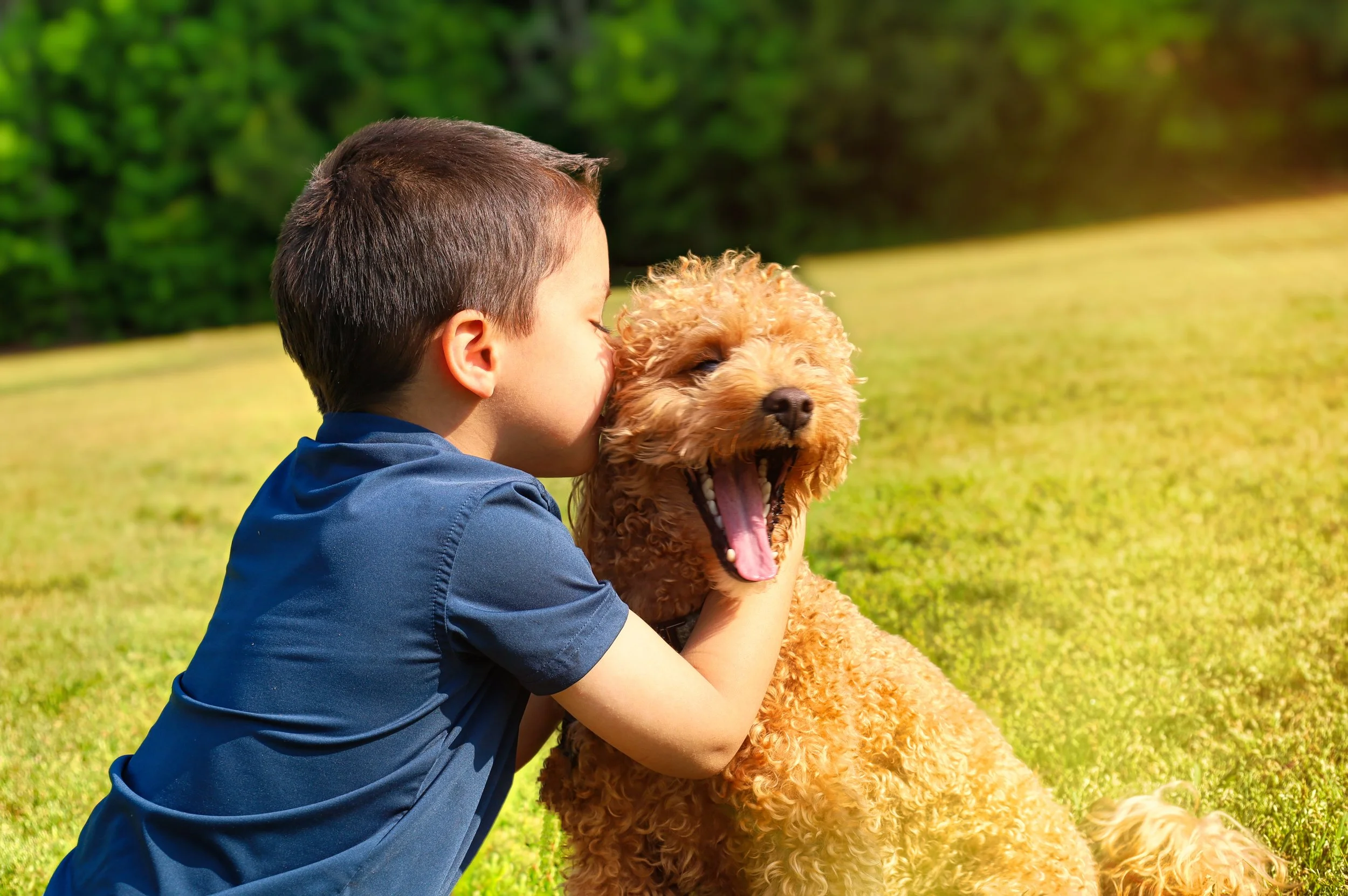 A young boy and a fluffy, curly-haired dog sharing a joyful moment outdoors on a sunny day, with the boy hugging the dog.