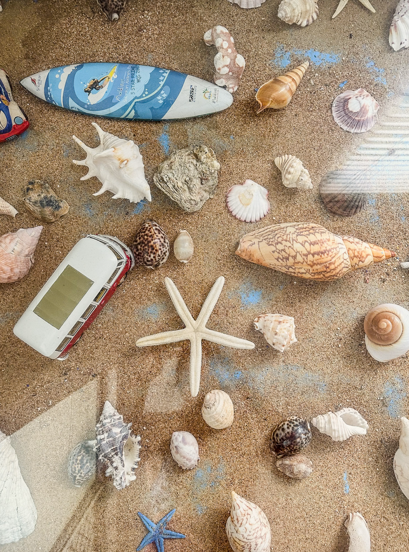 Screenshot 2026-02-16 at 12.36.11 pm.png