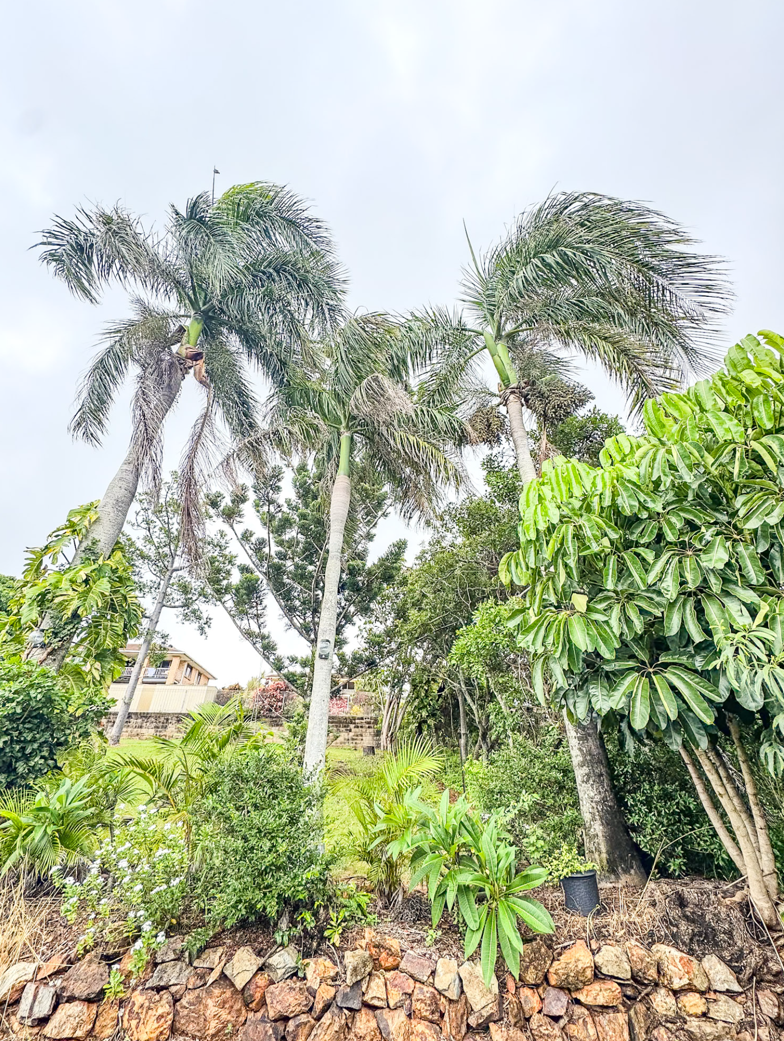 Screenshot 2026-02-16 at 12.39.56 pm.png