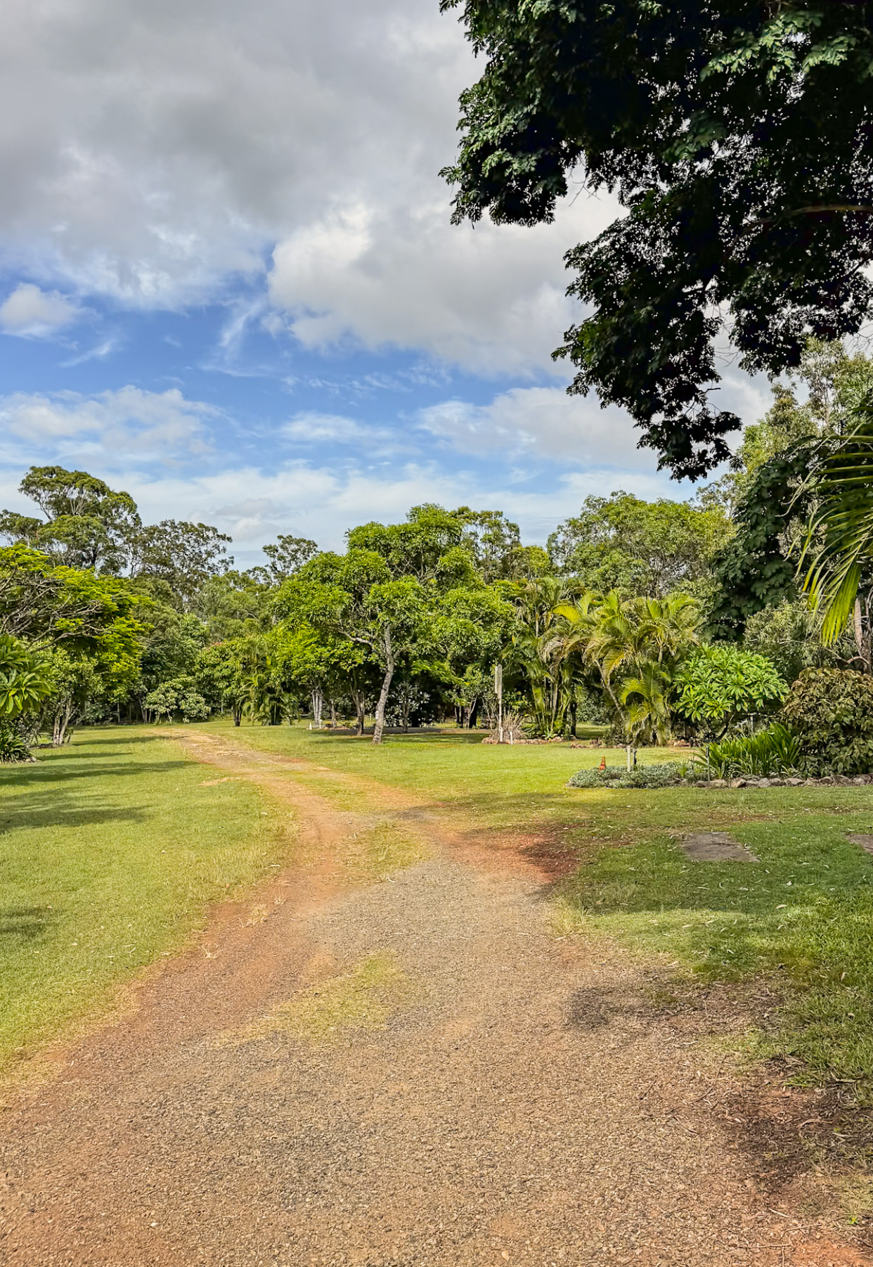 Screenshot 2026-02-17 at 7.29.43 am.png