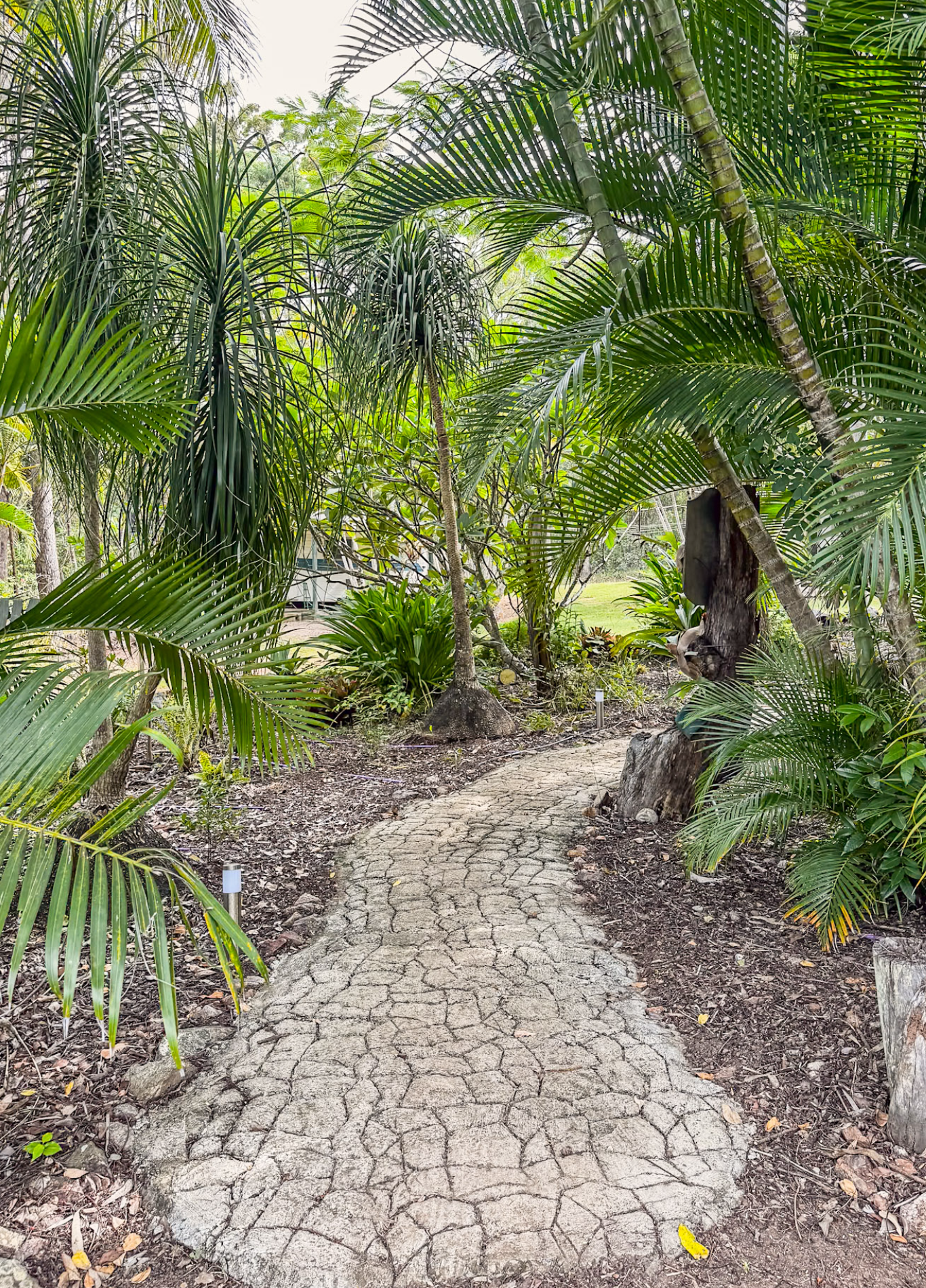 Screenshot 2026-02-17 at 7.29.49 am.png