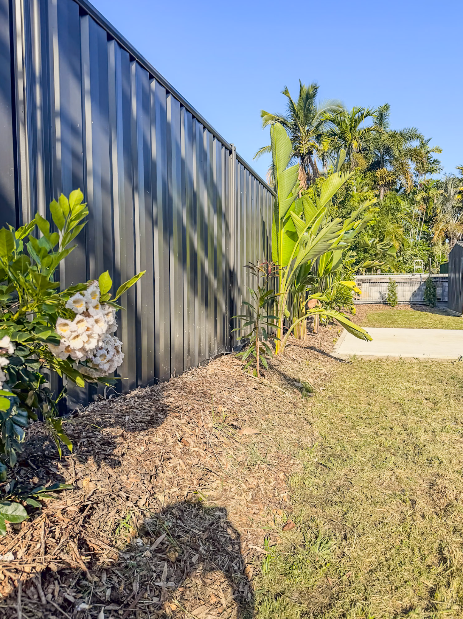 Screenshot 2026-02-18 at 6.48.48 am.png