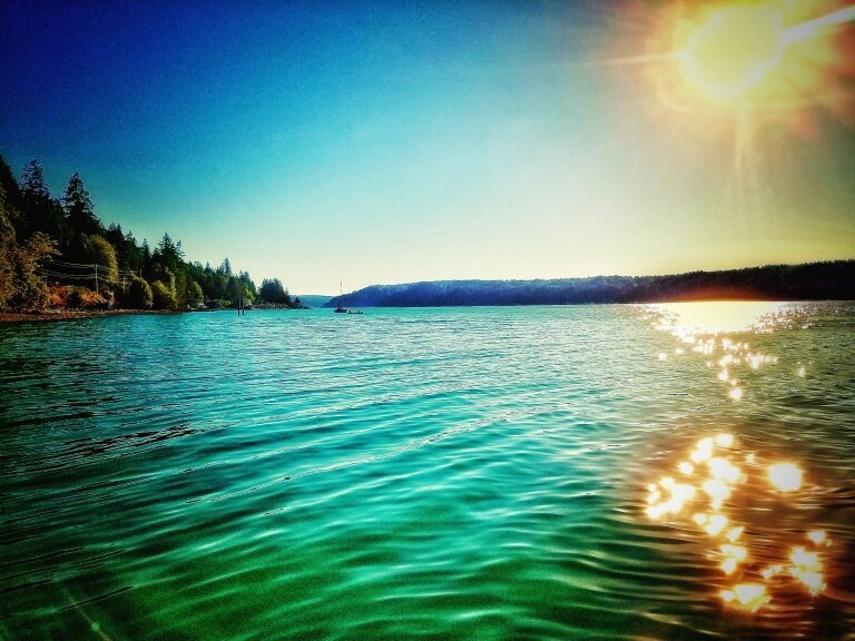 Evening Drive Up the Hood Canal