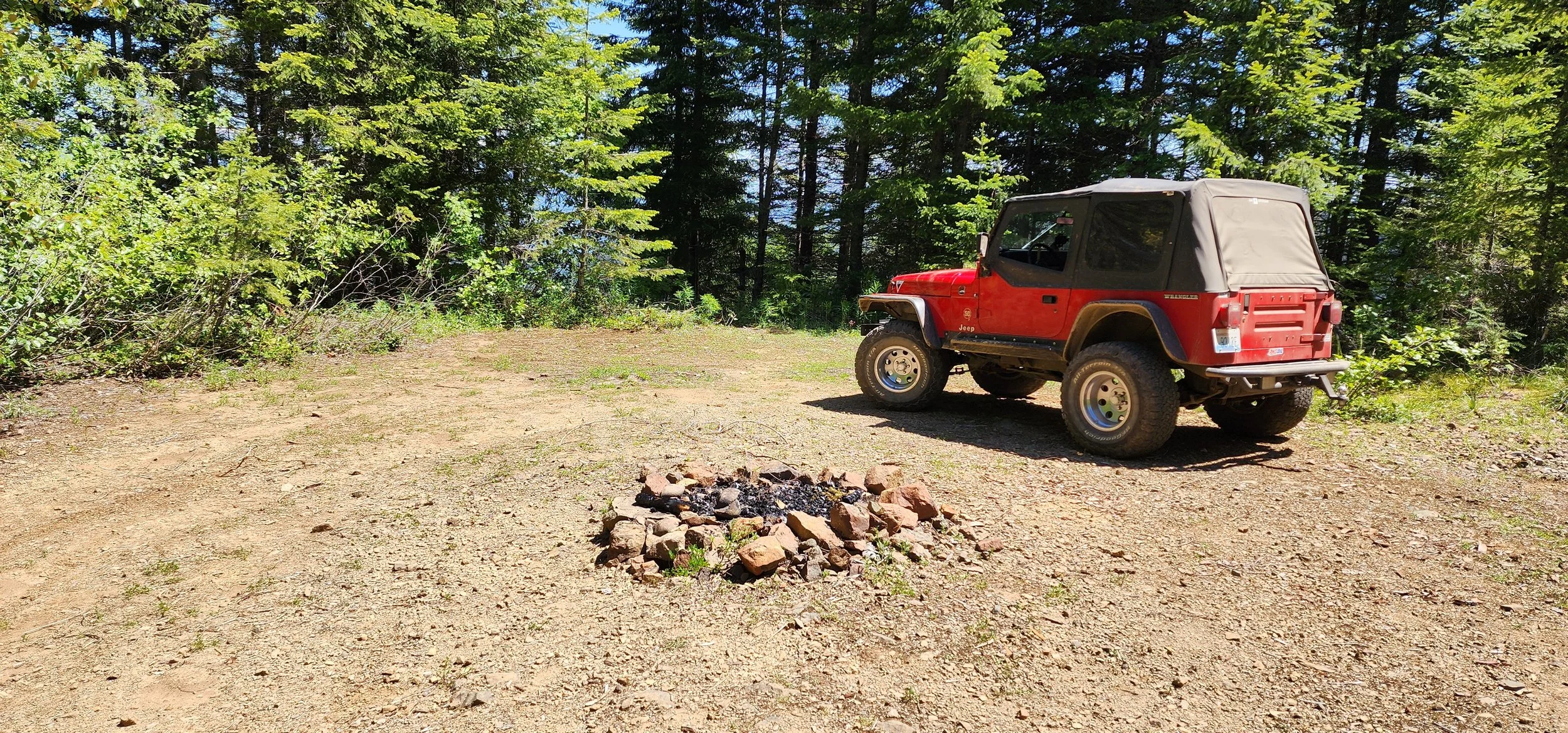 Olympic National Forest