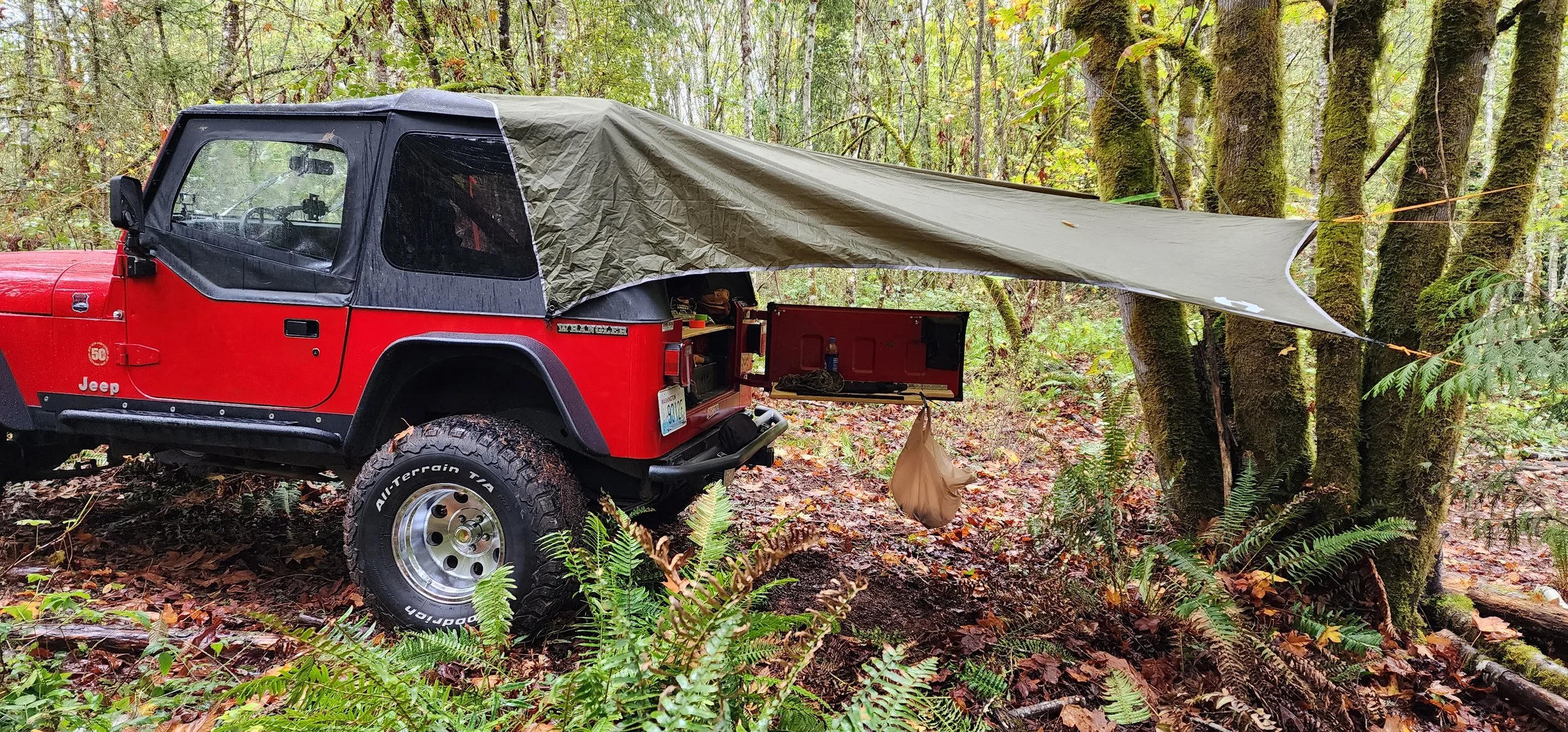 Bugging Out or Bugging In?