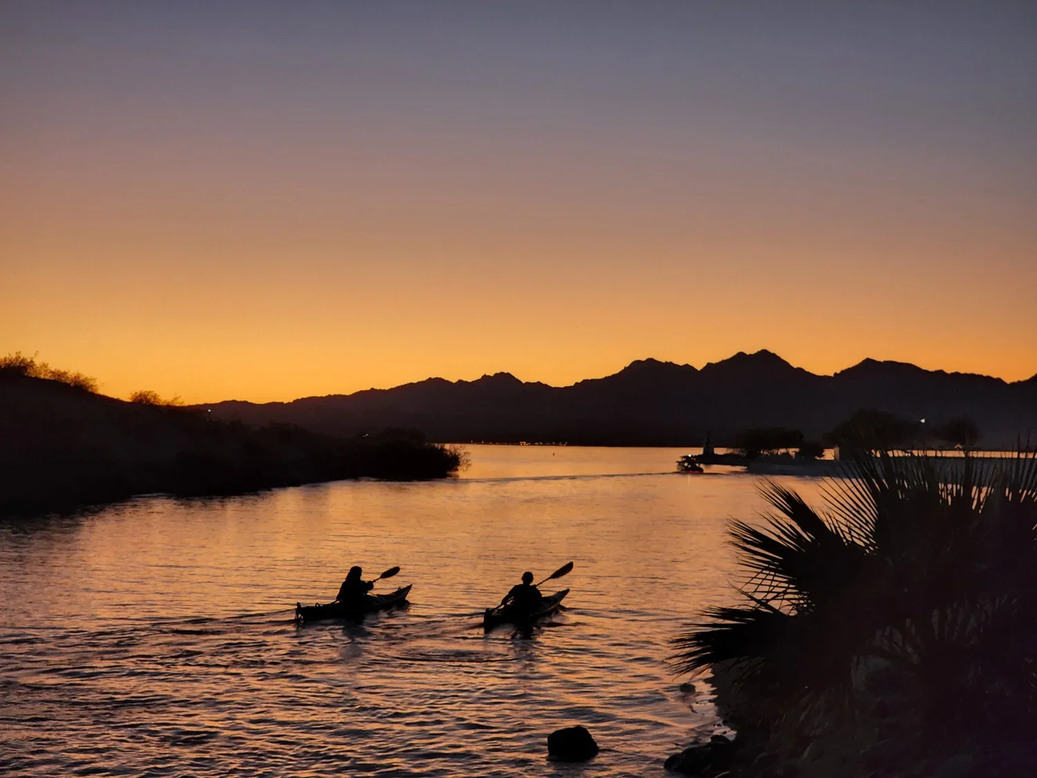 Havasu Sunset.webp