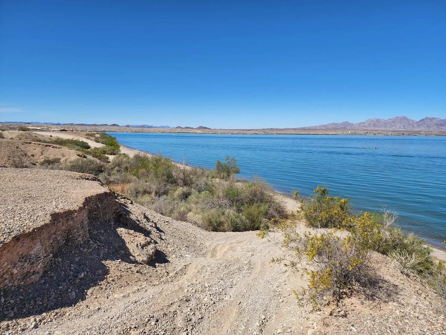 Lake Havasu2.webp