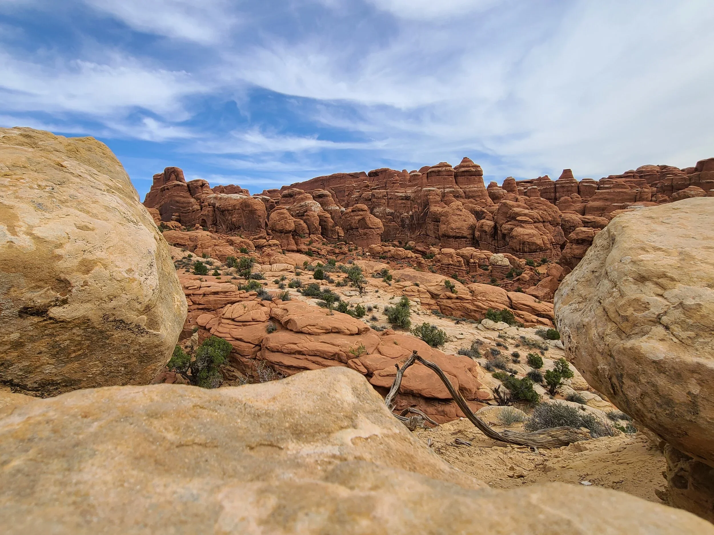 Mission Changed: Road Trip, Crisis, and Adaptability