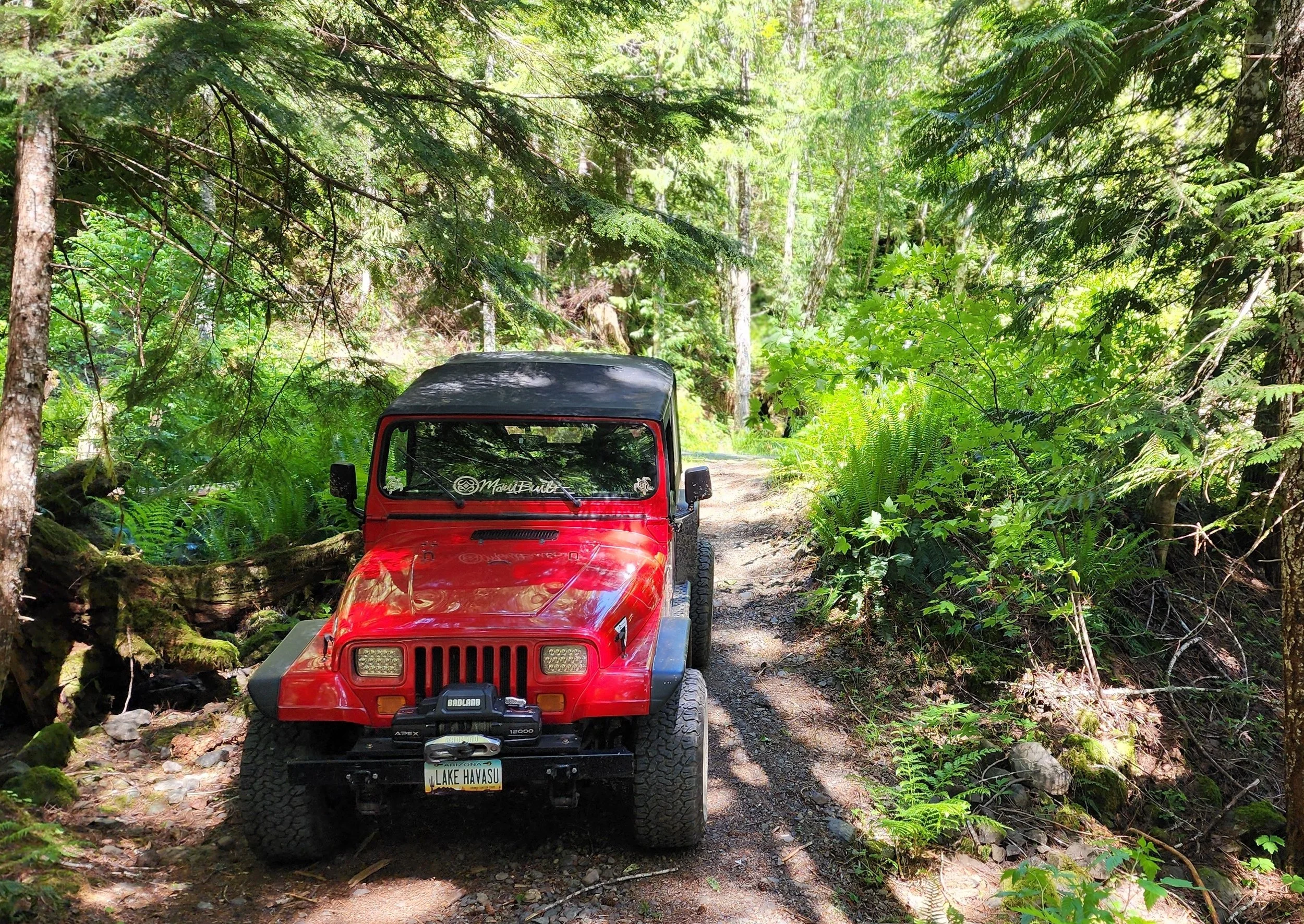 Olympic National Forest: Reading Terrain, Access, and Opportunity