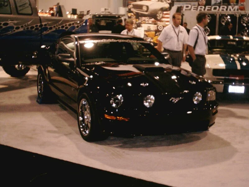 05 stang.jpg