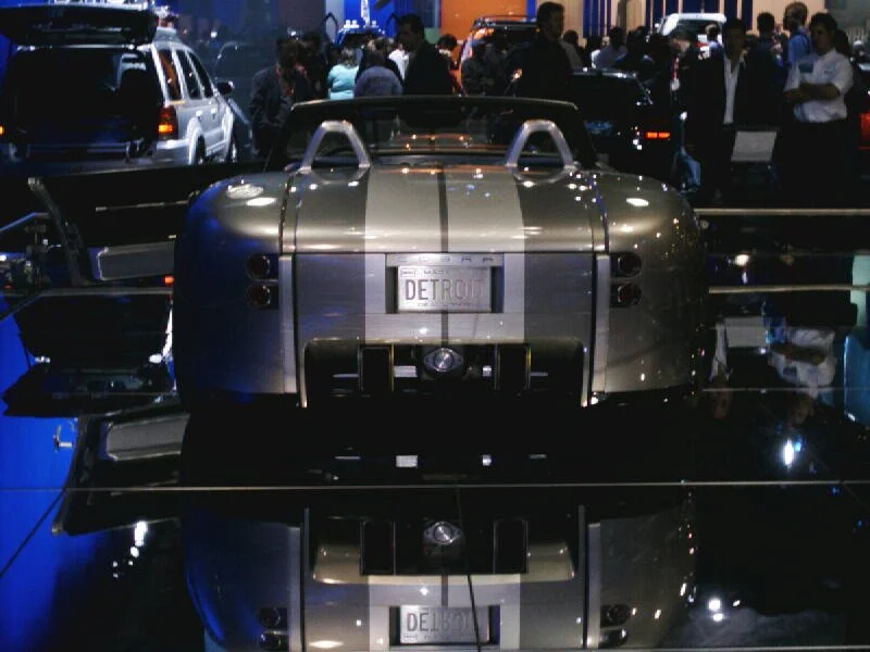 new cobra1.jpg
