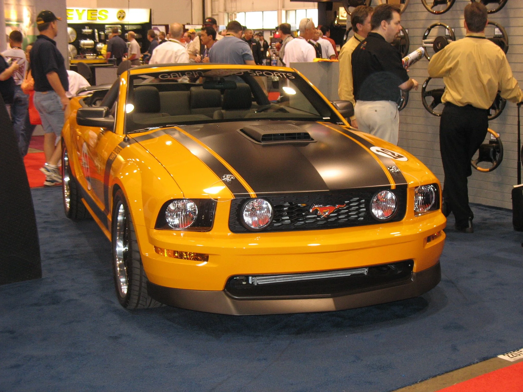 Jahanels Pic 109.jpg