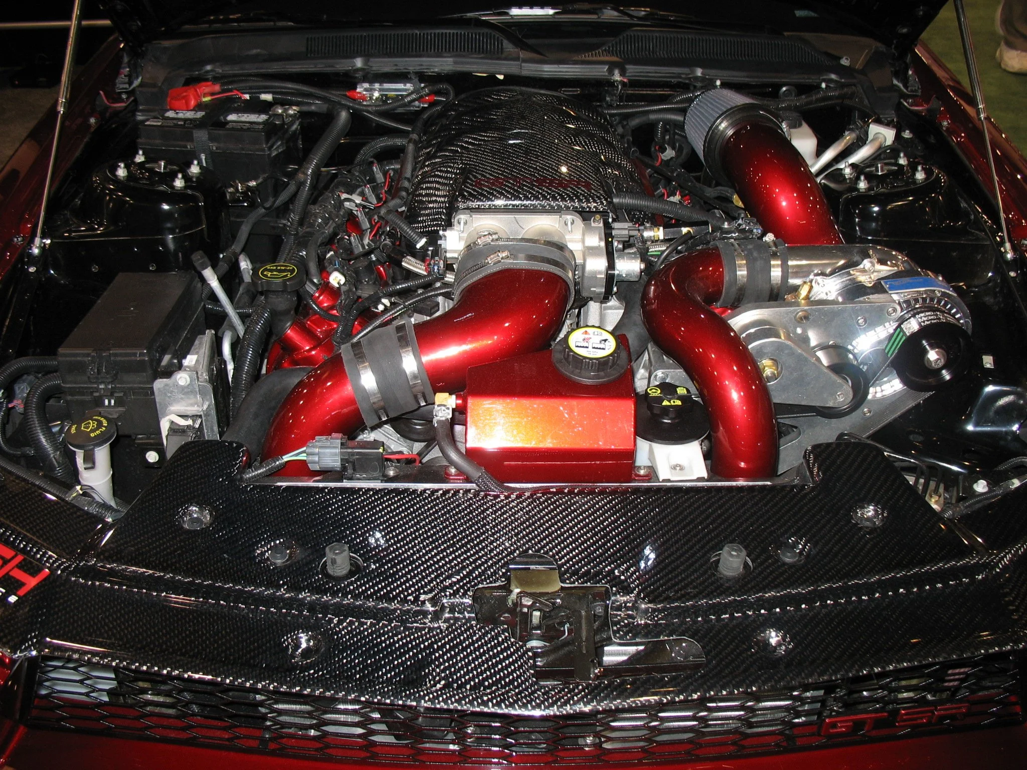 Jahanels Pic 175.jpg