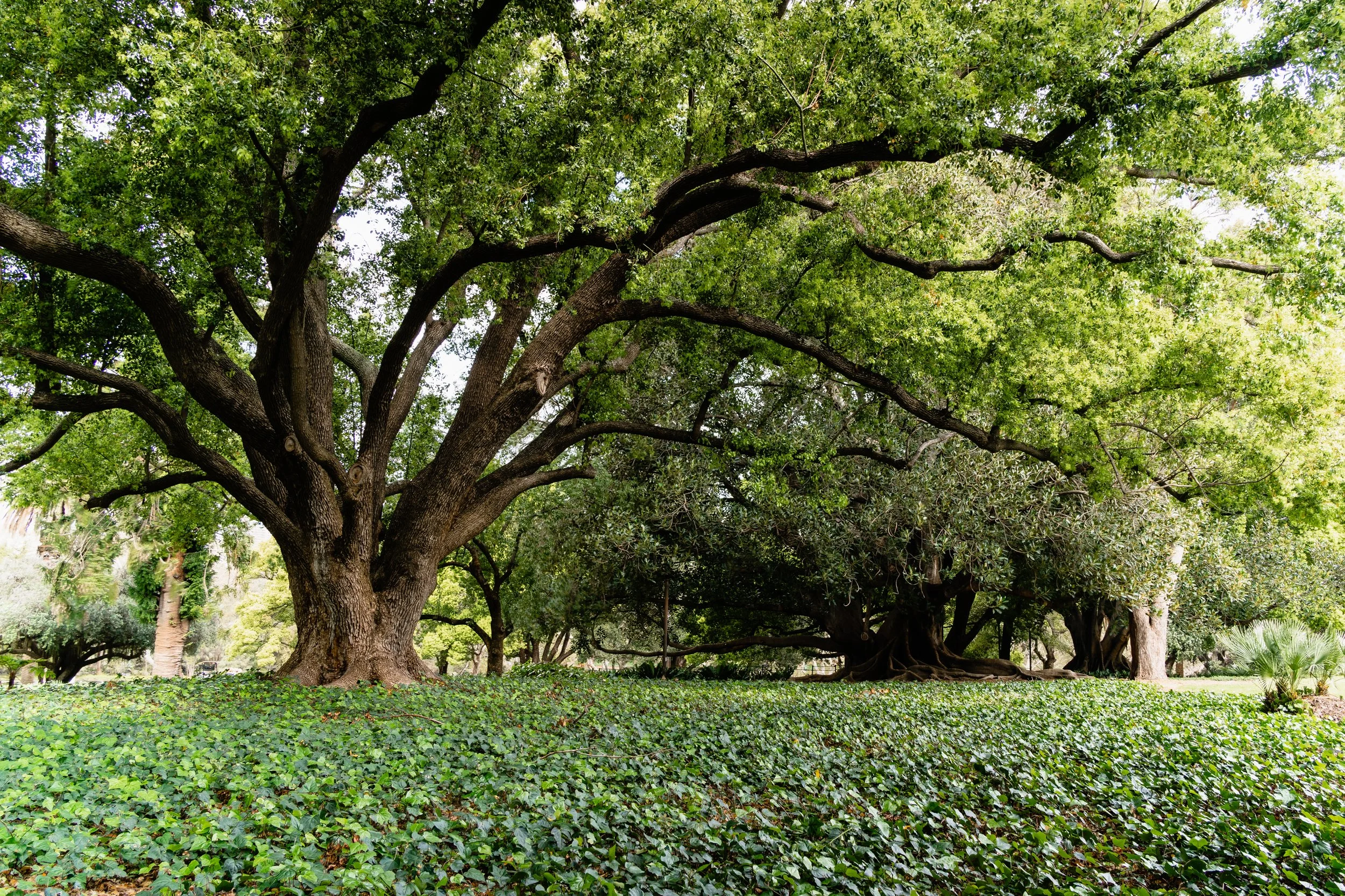 Perth-Landscapes (1).jpg