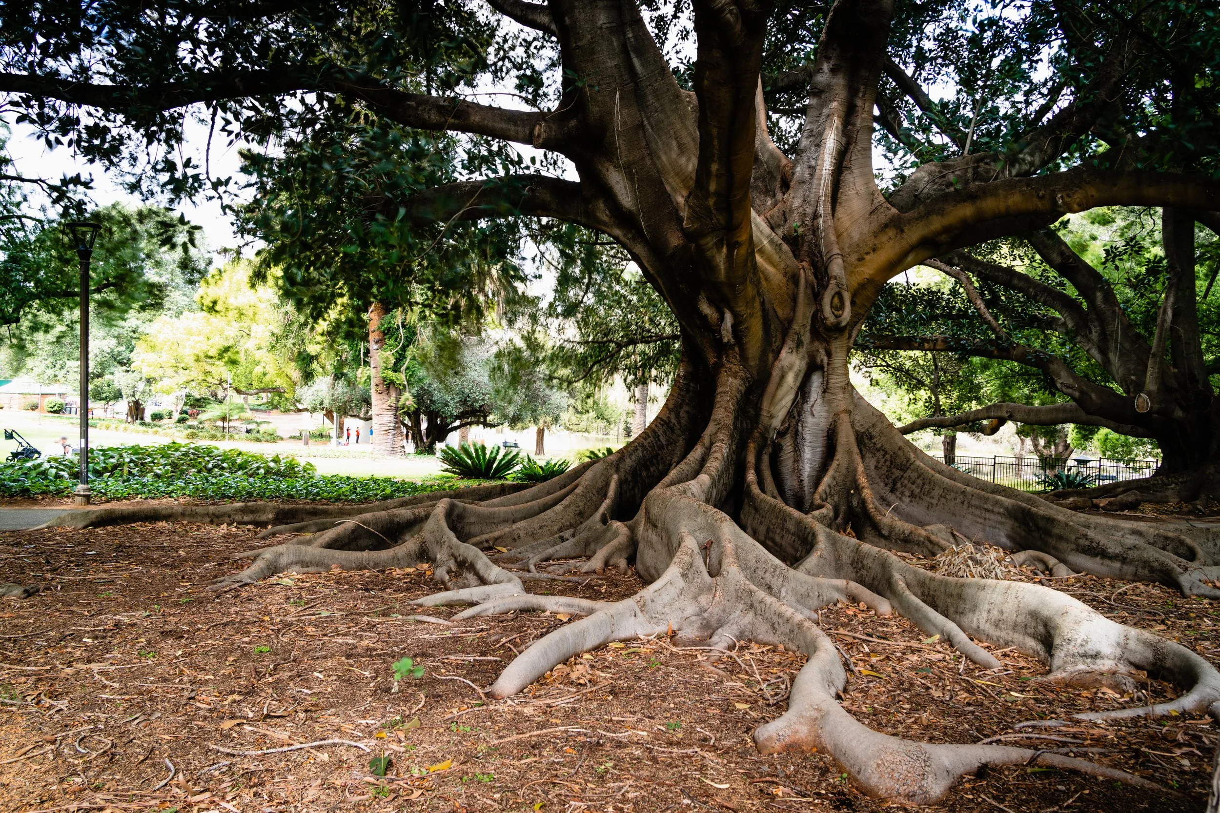 Perth-Landscapes (3) - Copy.jpg