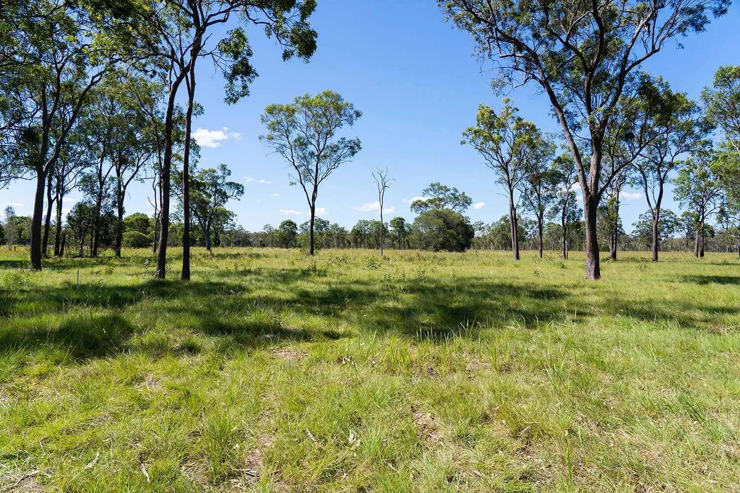 Highplain Acres Hectare Lots Dundathu2.jpg