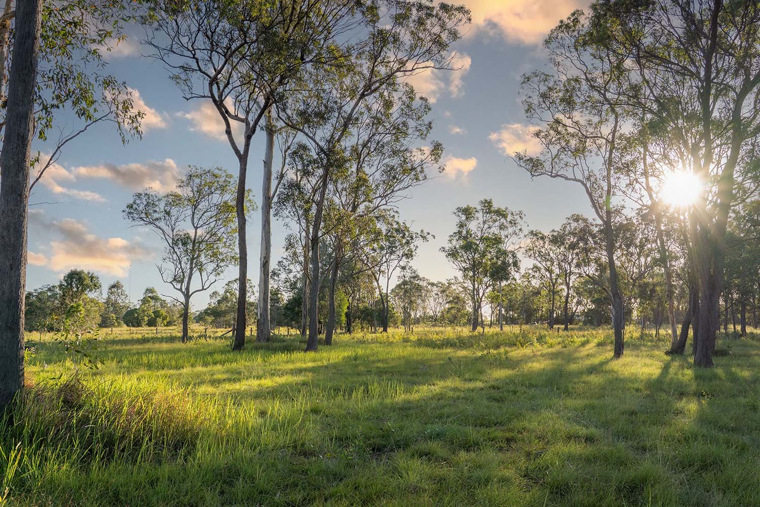 Highplain Acres Hectare Lots Dundathu4.jpg