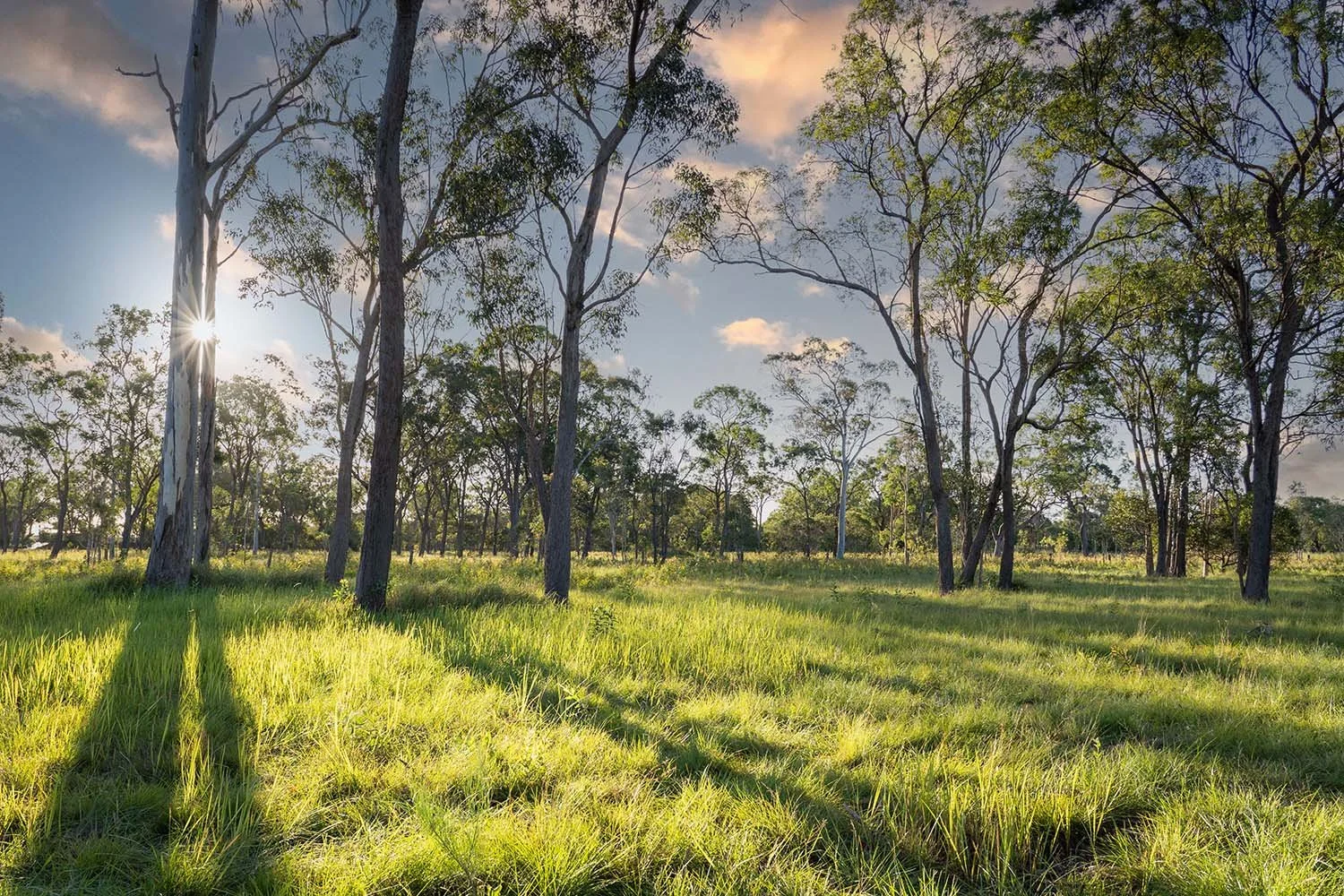 Highplain Acres Hectare Lots Dundathu5.jpg