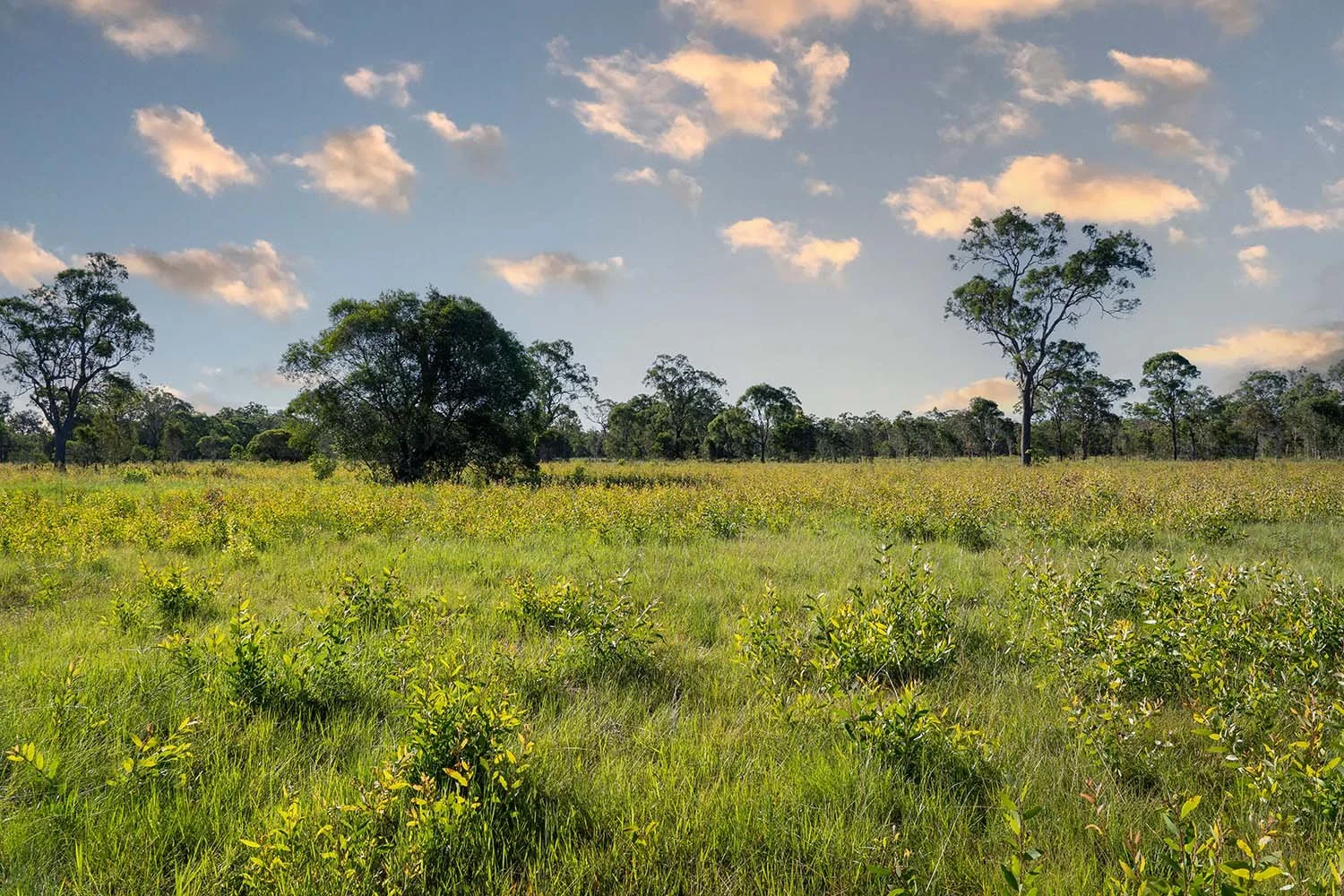 Highplain Acres Hectare Lots Dundathu6.jpg