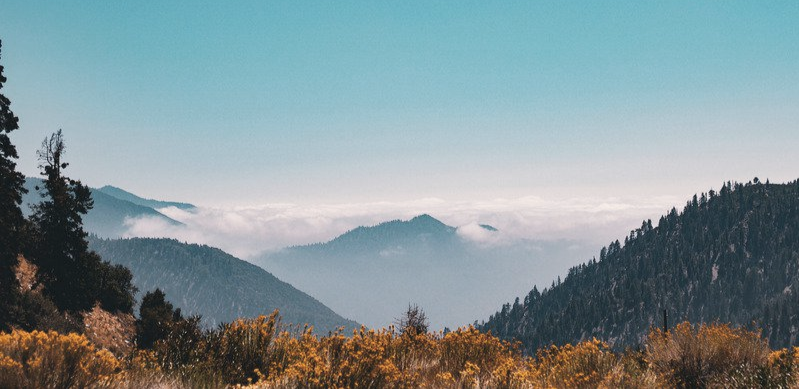 The Exit You Want Starts 18 Months Before You Sell