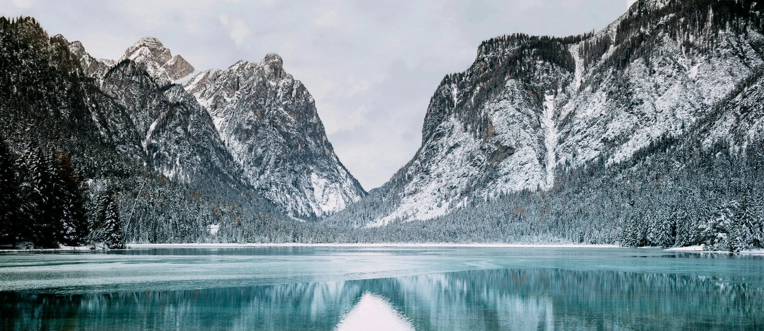 The Most Valuable Asset in a Portfolio Company Isn't Growth. It's Continuity.