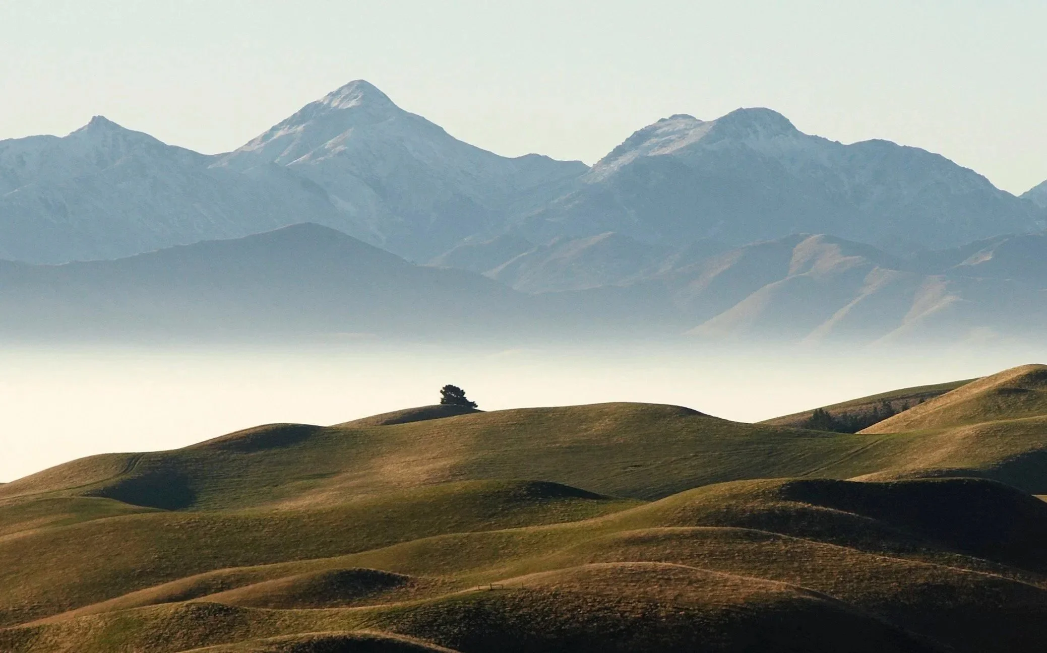 Rolling hills in the foreground with a single tree on a hill, and distant mountain range in the background under a clear sky.