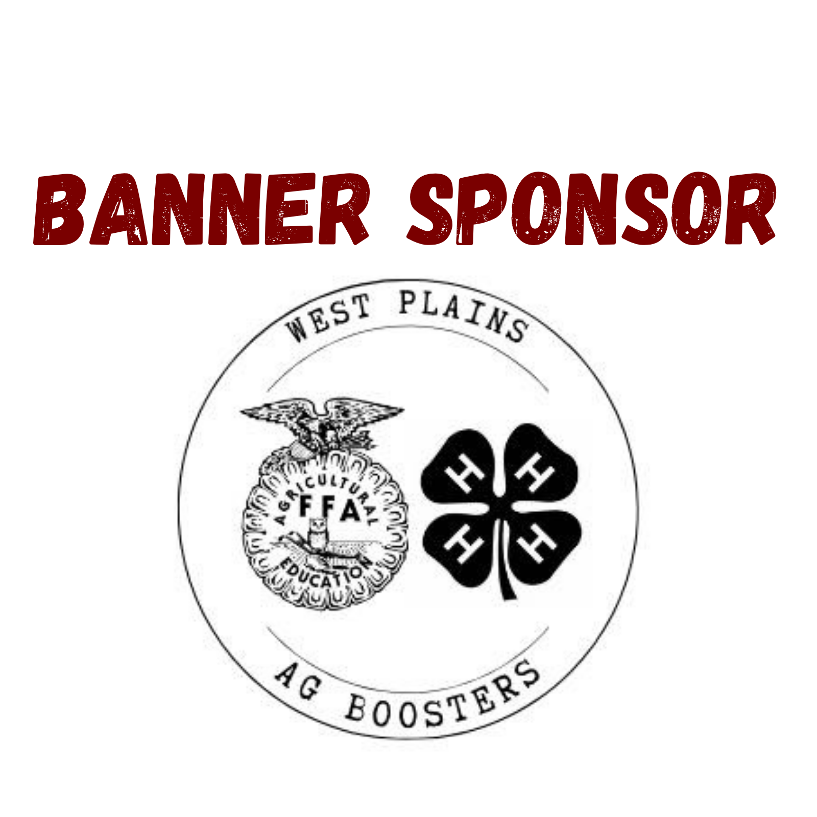 Sponsor Banner