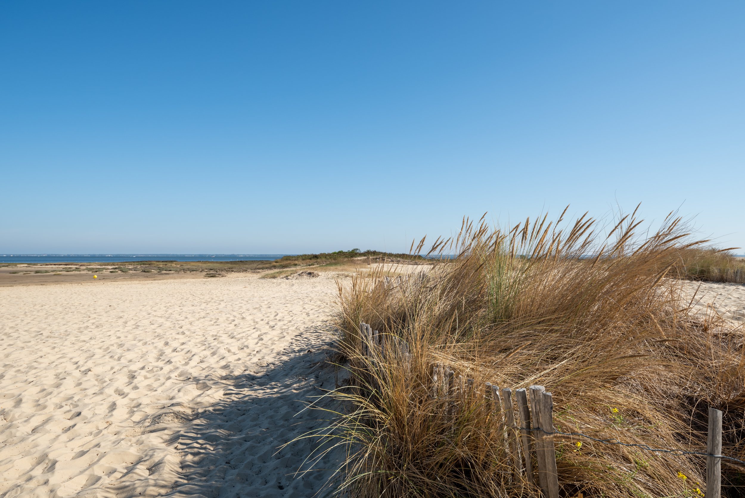 Plage de sable avec des dunes et des herbes hautes, ciel bleu clair.
