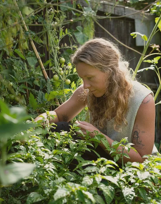 A woman with long curly hair tending to green tomato plants in a garden.