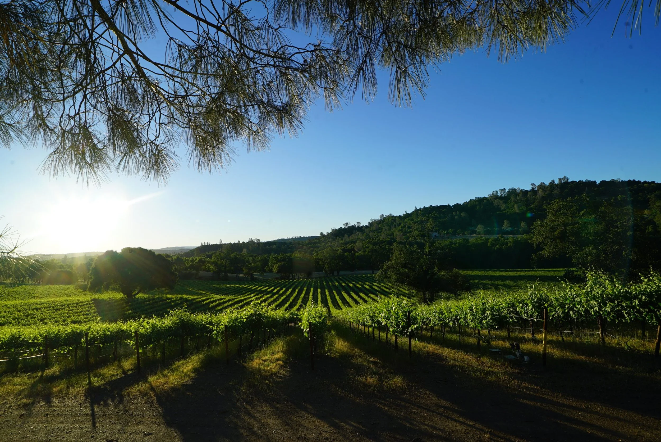 The Grand Tour (Price per person, Click to select quantity, then Add to Cart )